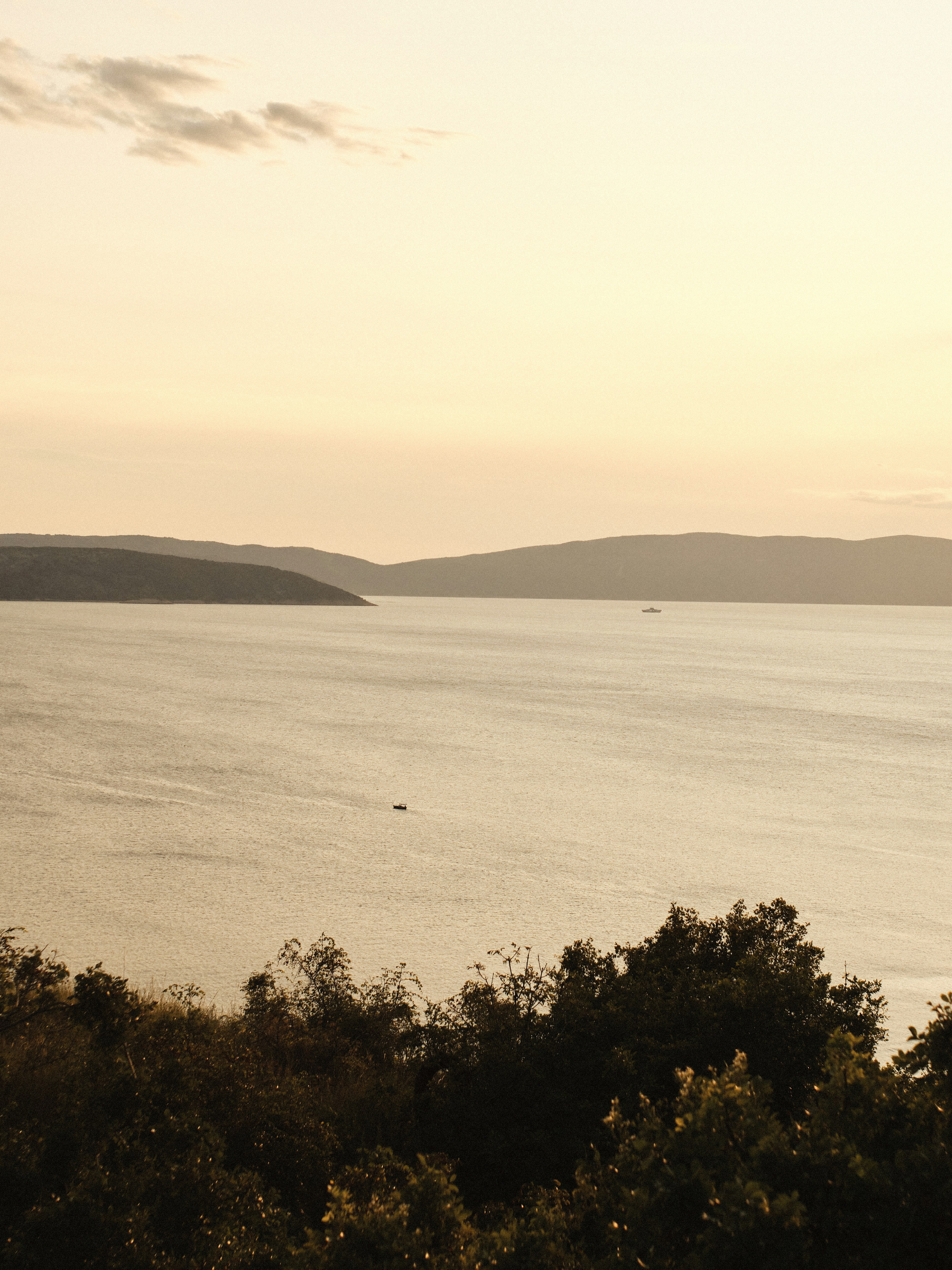 A large body of water surrounded by trees
