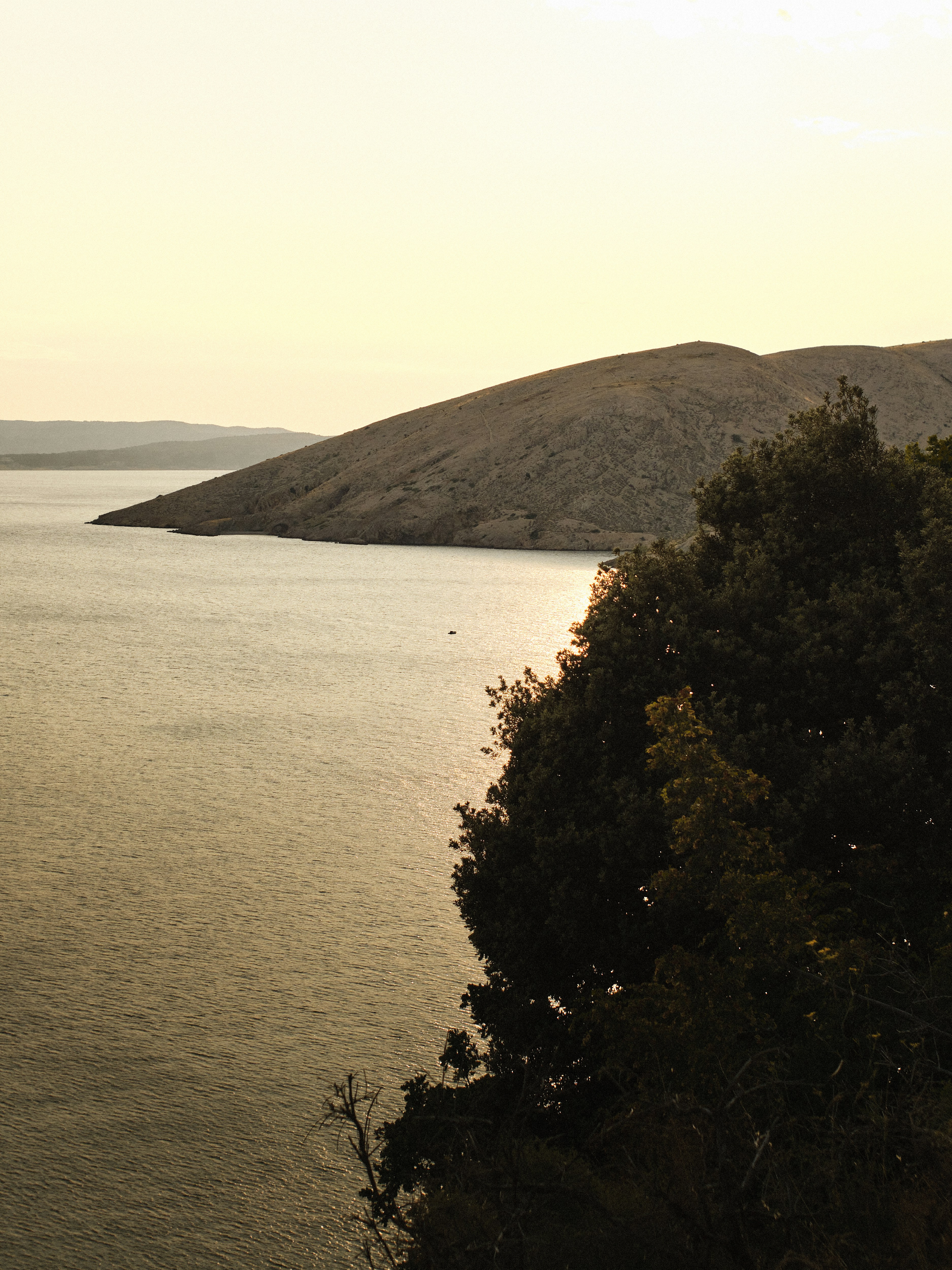 A large body of water surrounded by trees
