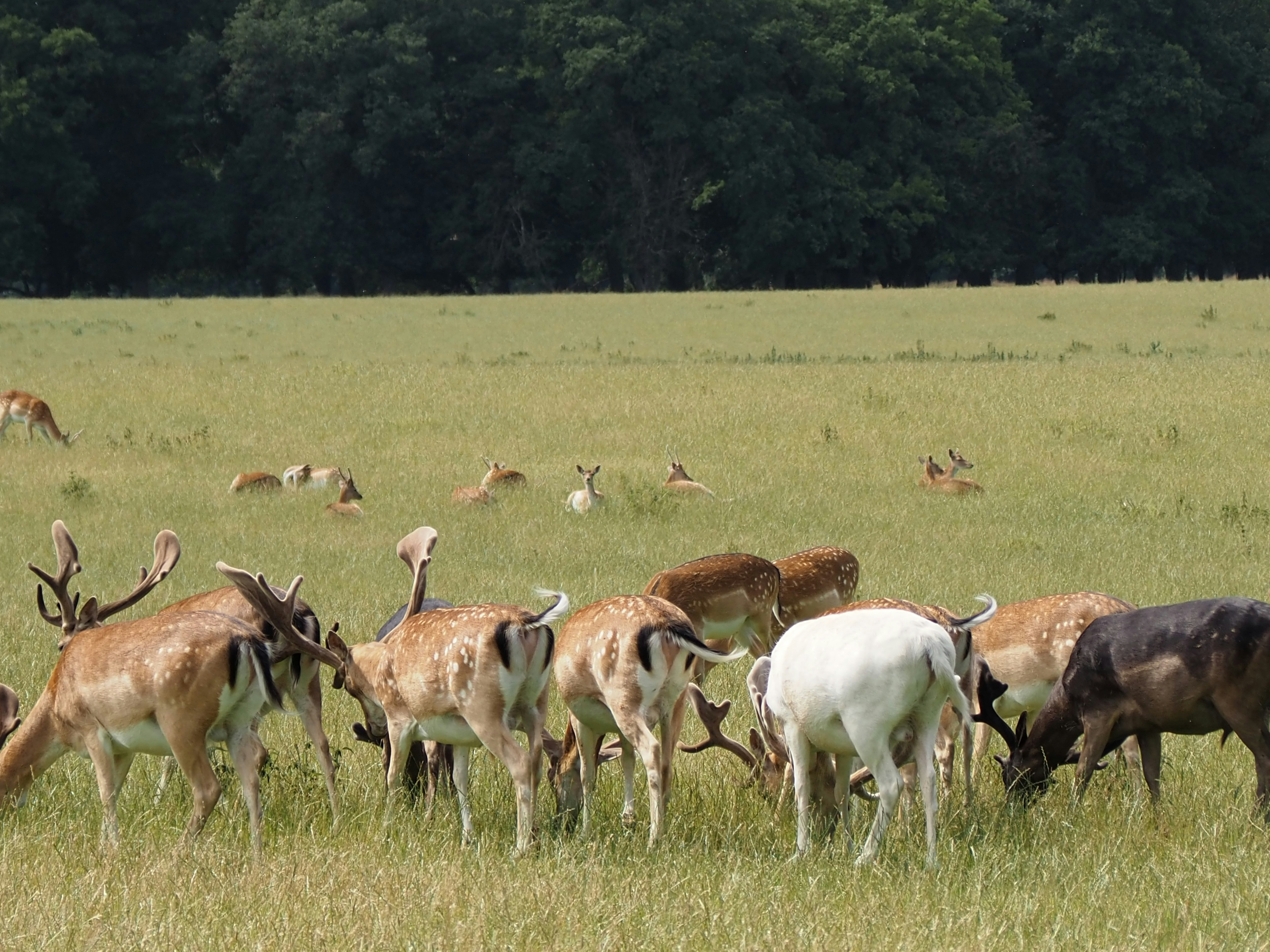 Photo by jackalope00