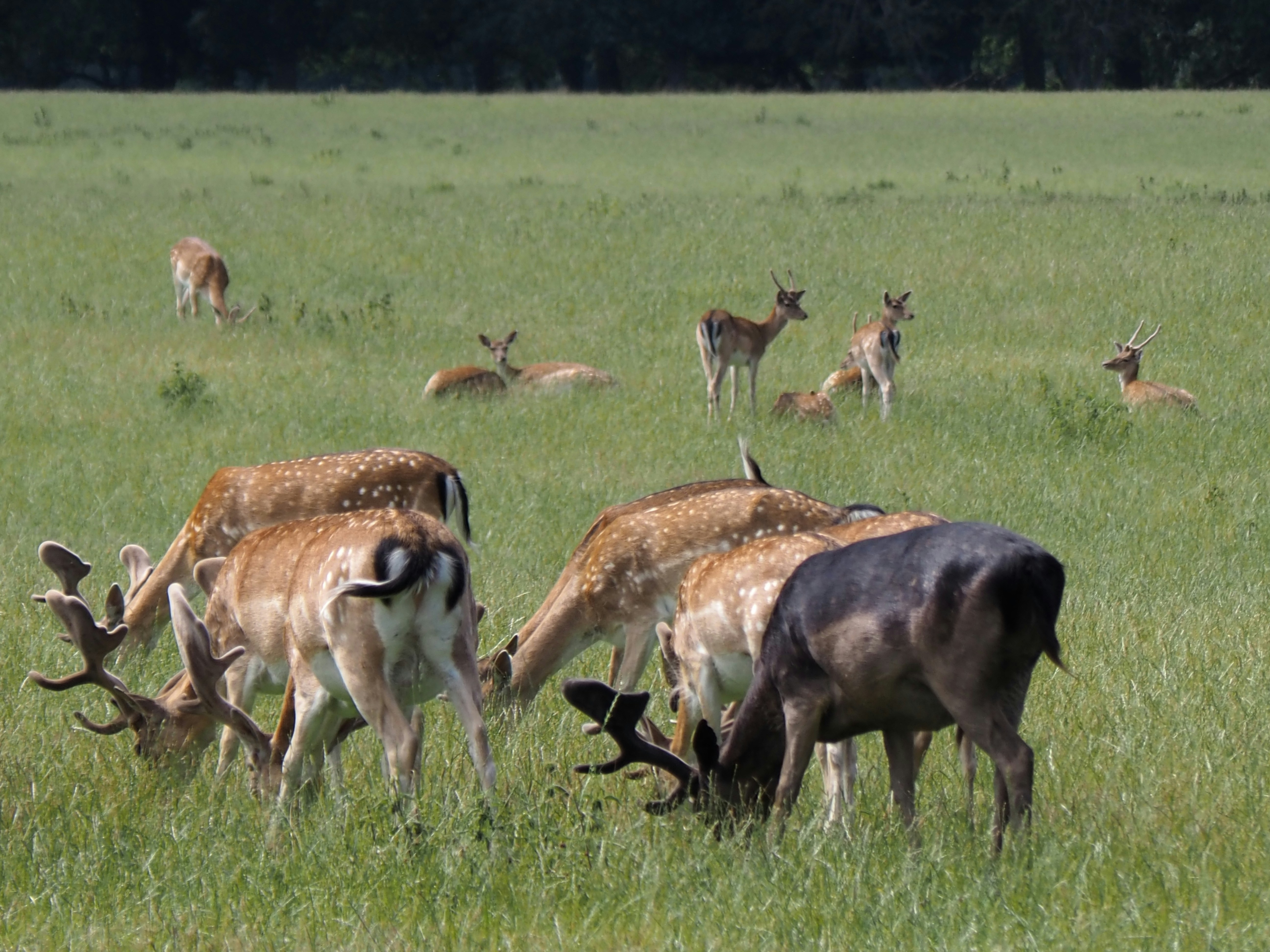 Photo by jackalope00