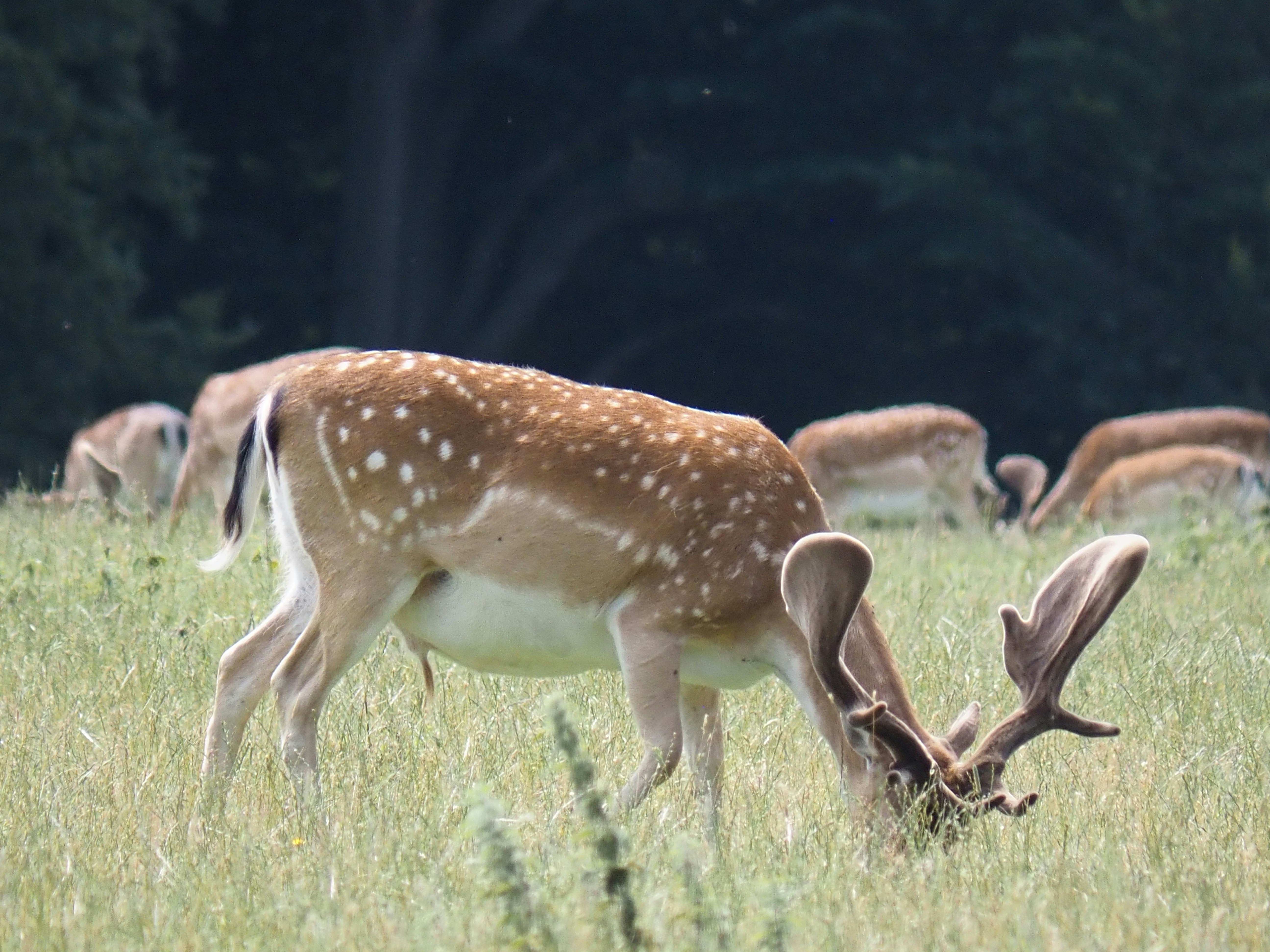 Photo by jackalope00