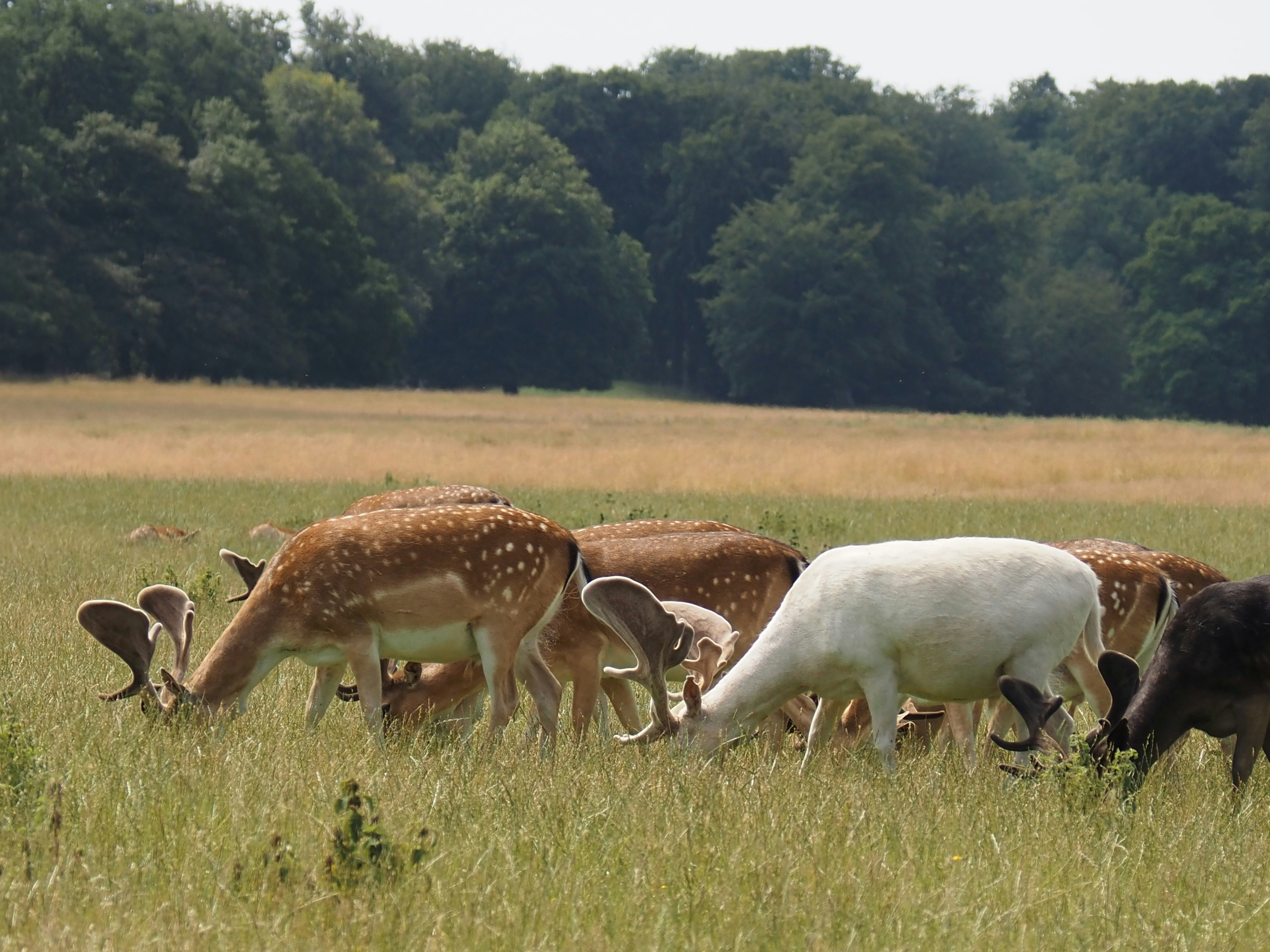 Photo by jackalope00