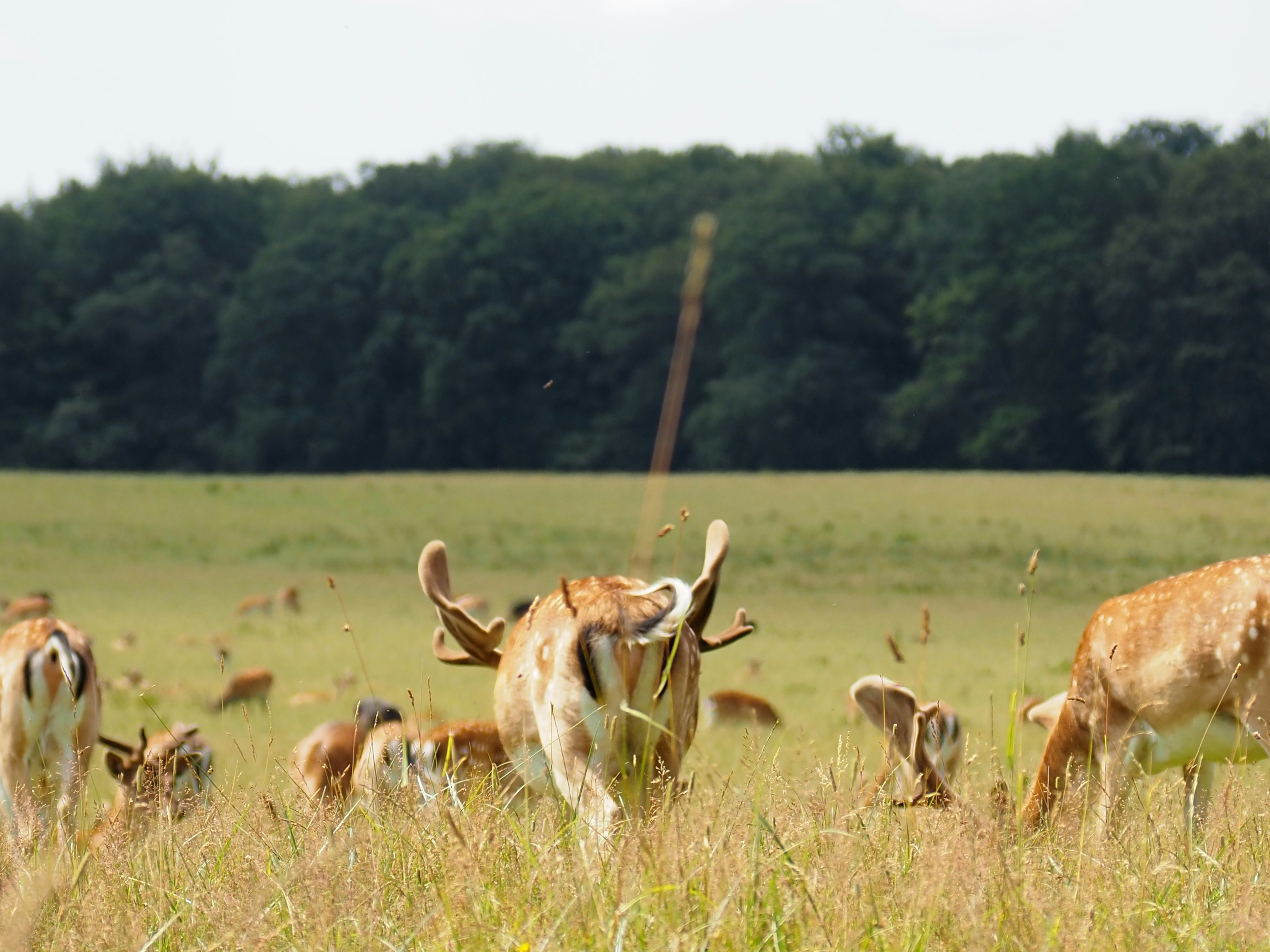 Photo by jackalope00