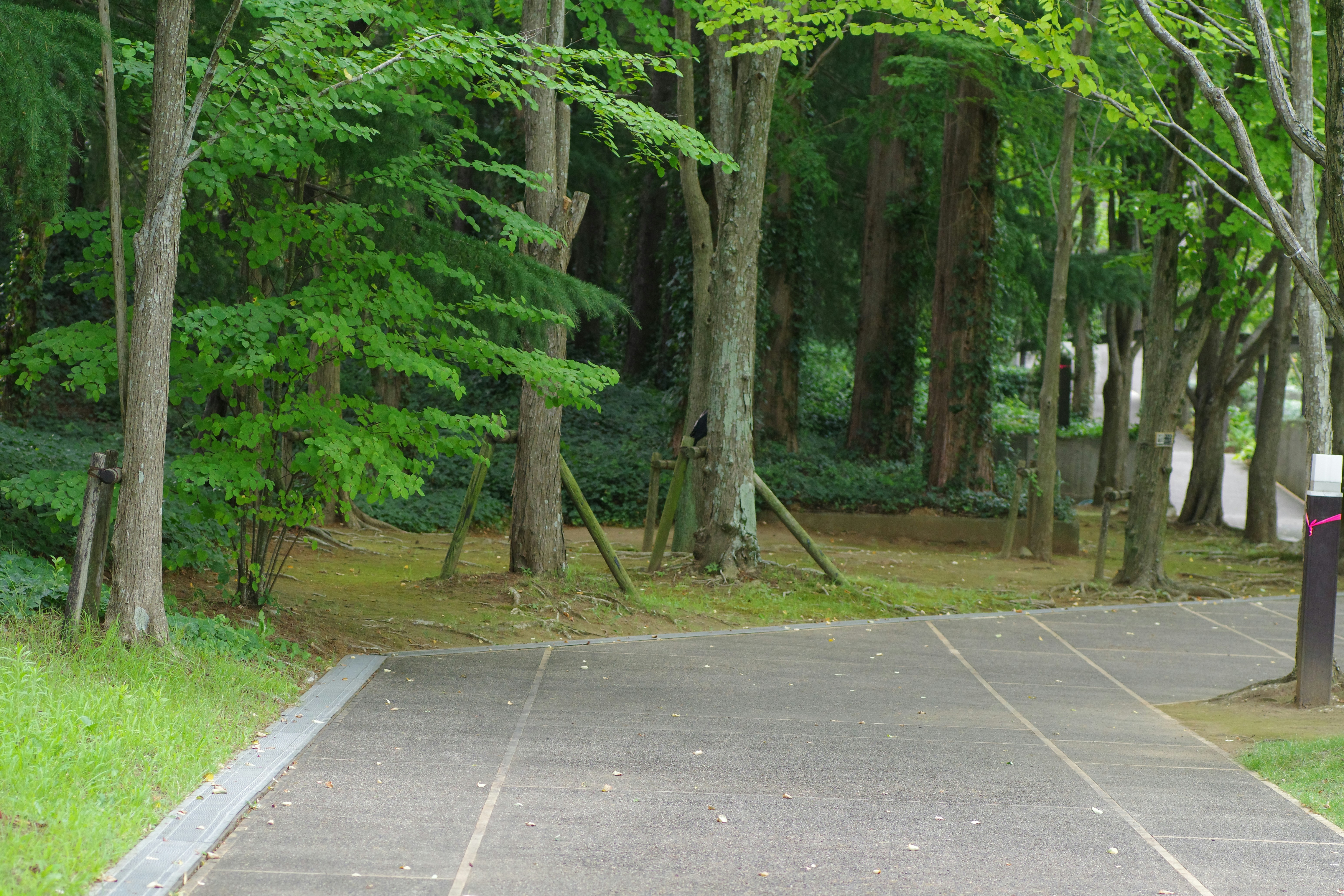 A person sitting on a bench in a park