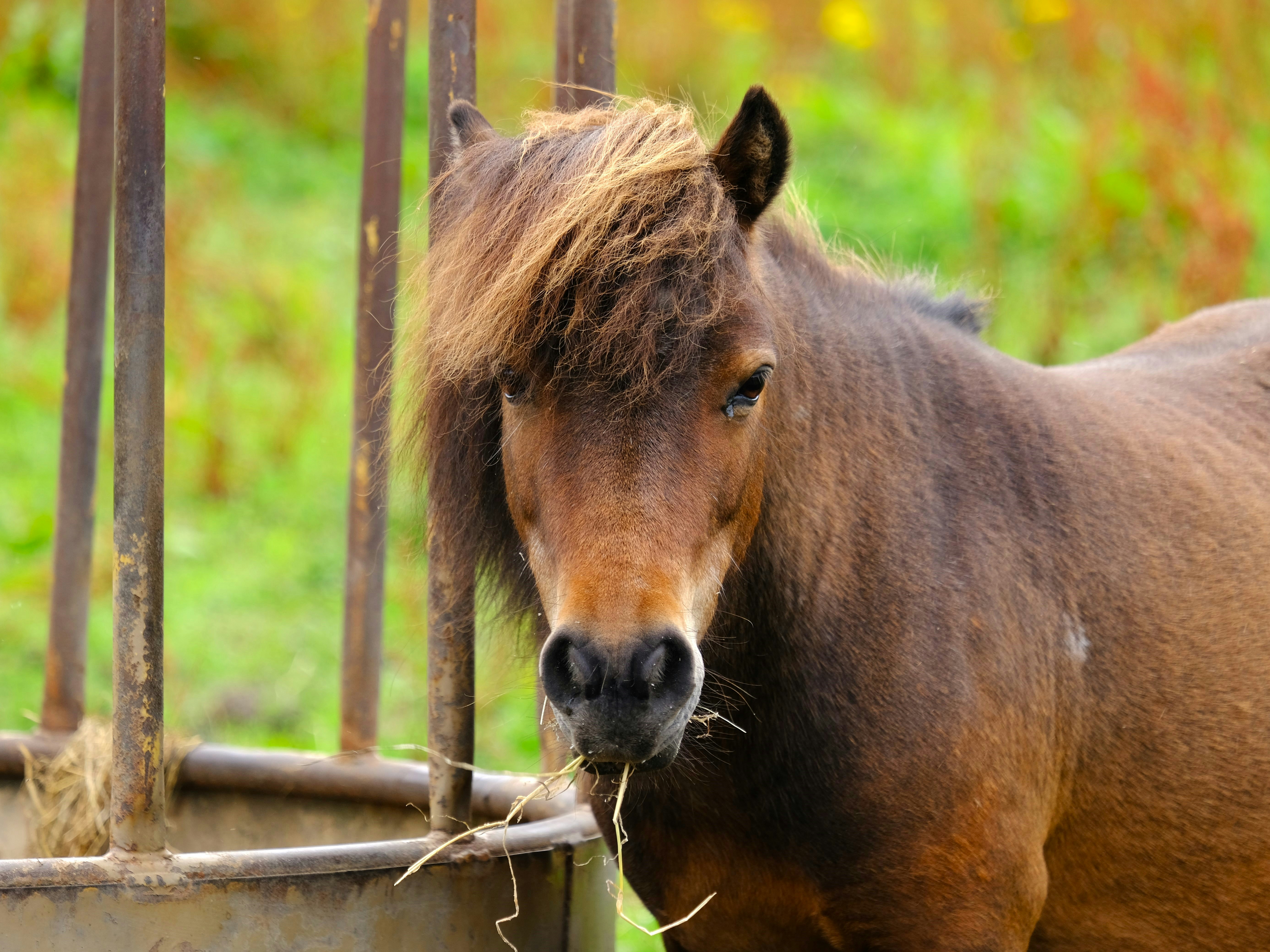 Photo by rory_tucker_photography