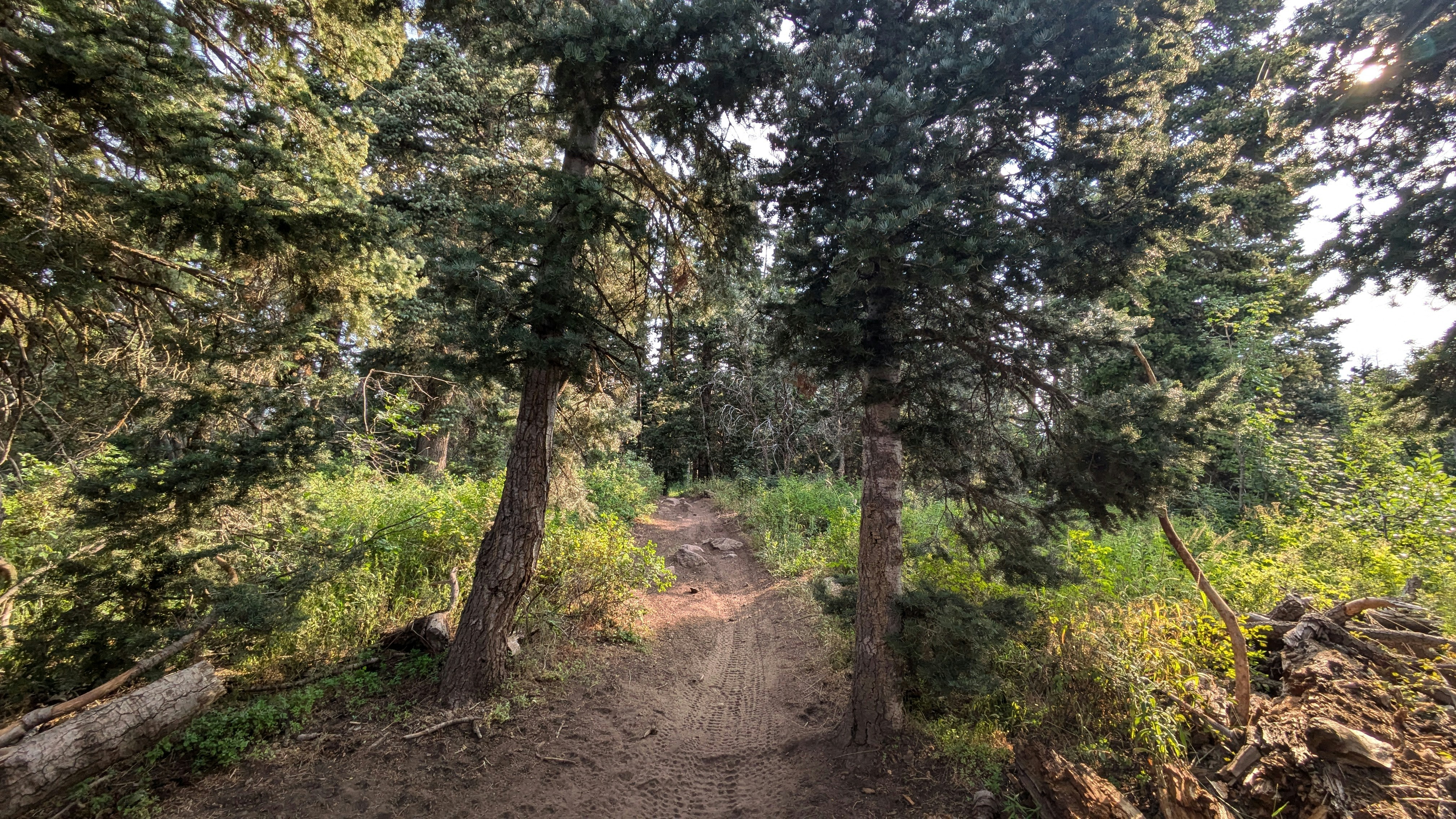 Photo by kevinzollinger