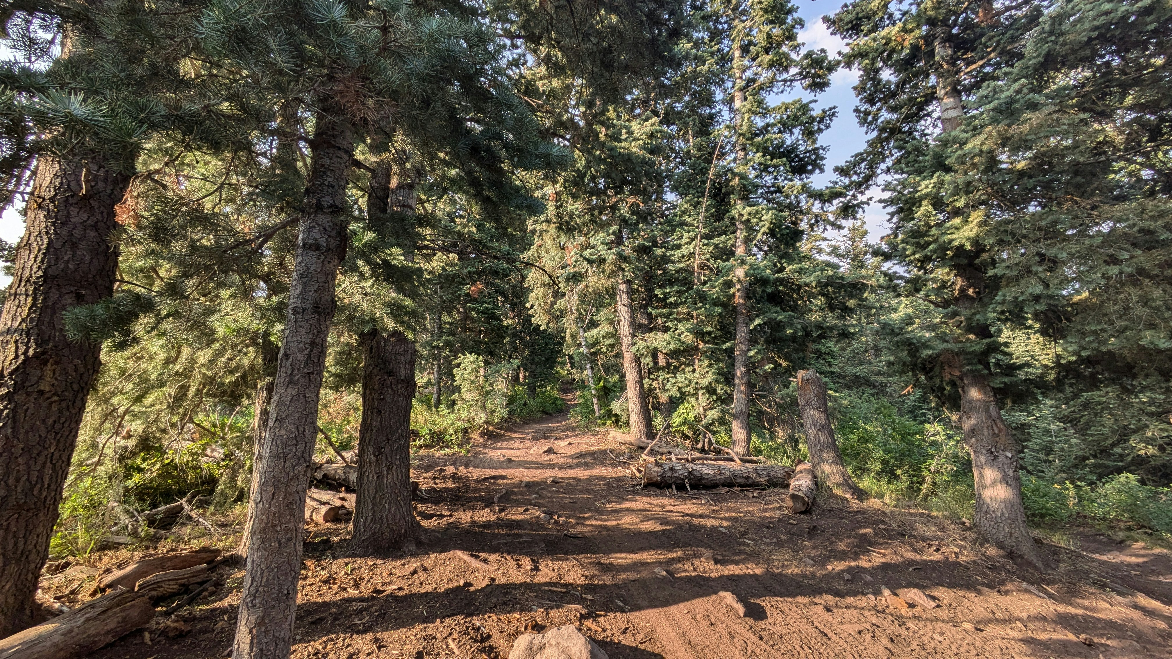 Photo by kevinzollinger