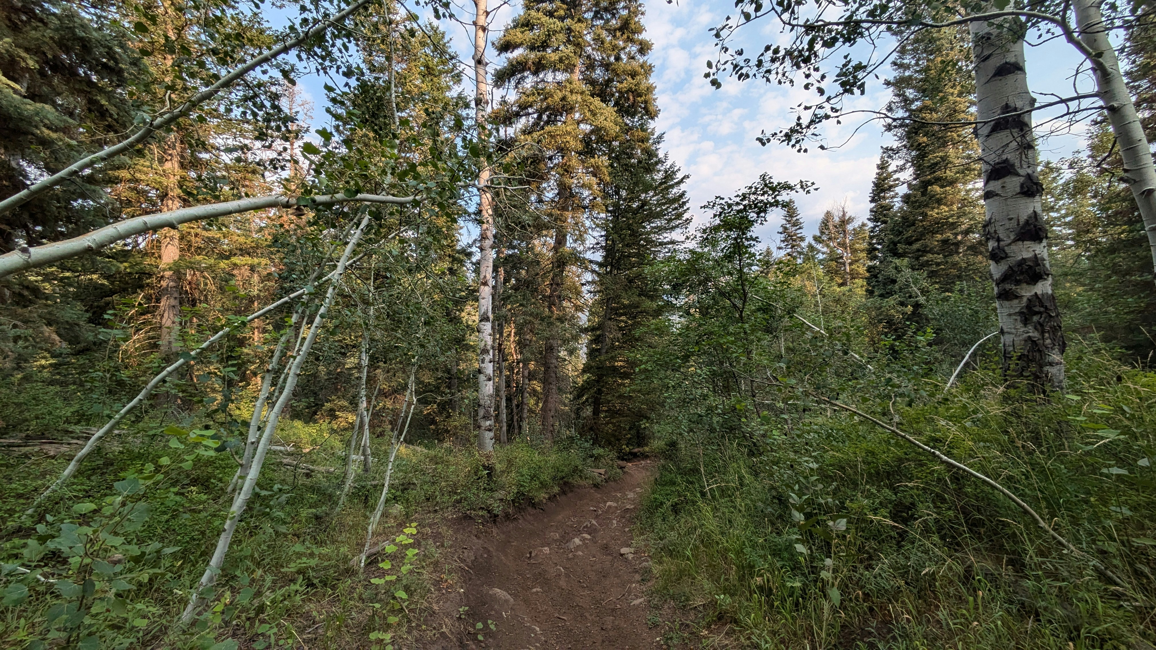 Photo by kevinzollinger