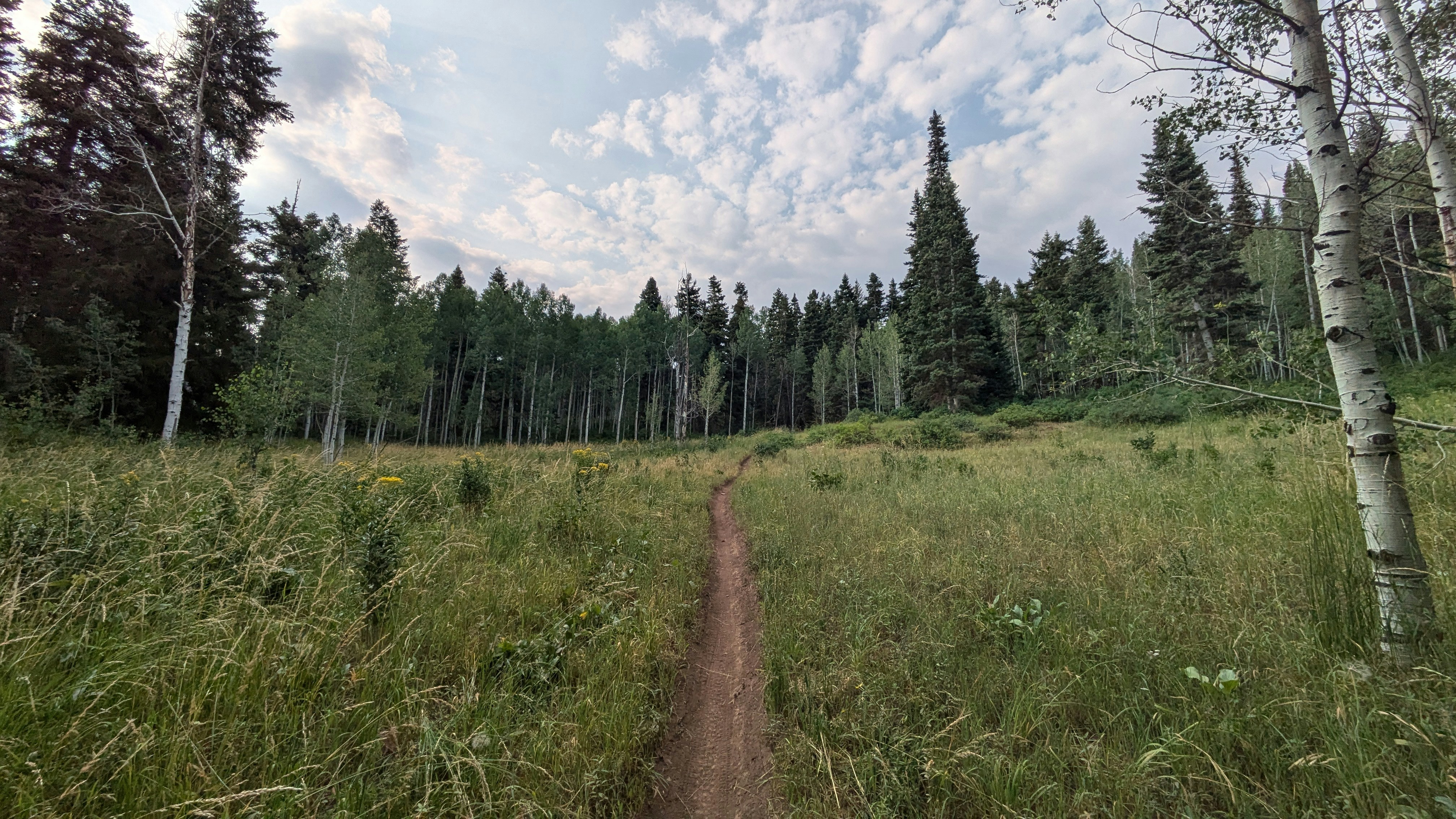 Photo by kevinzollinger