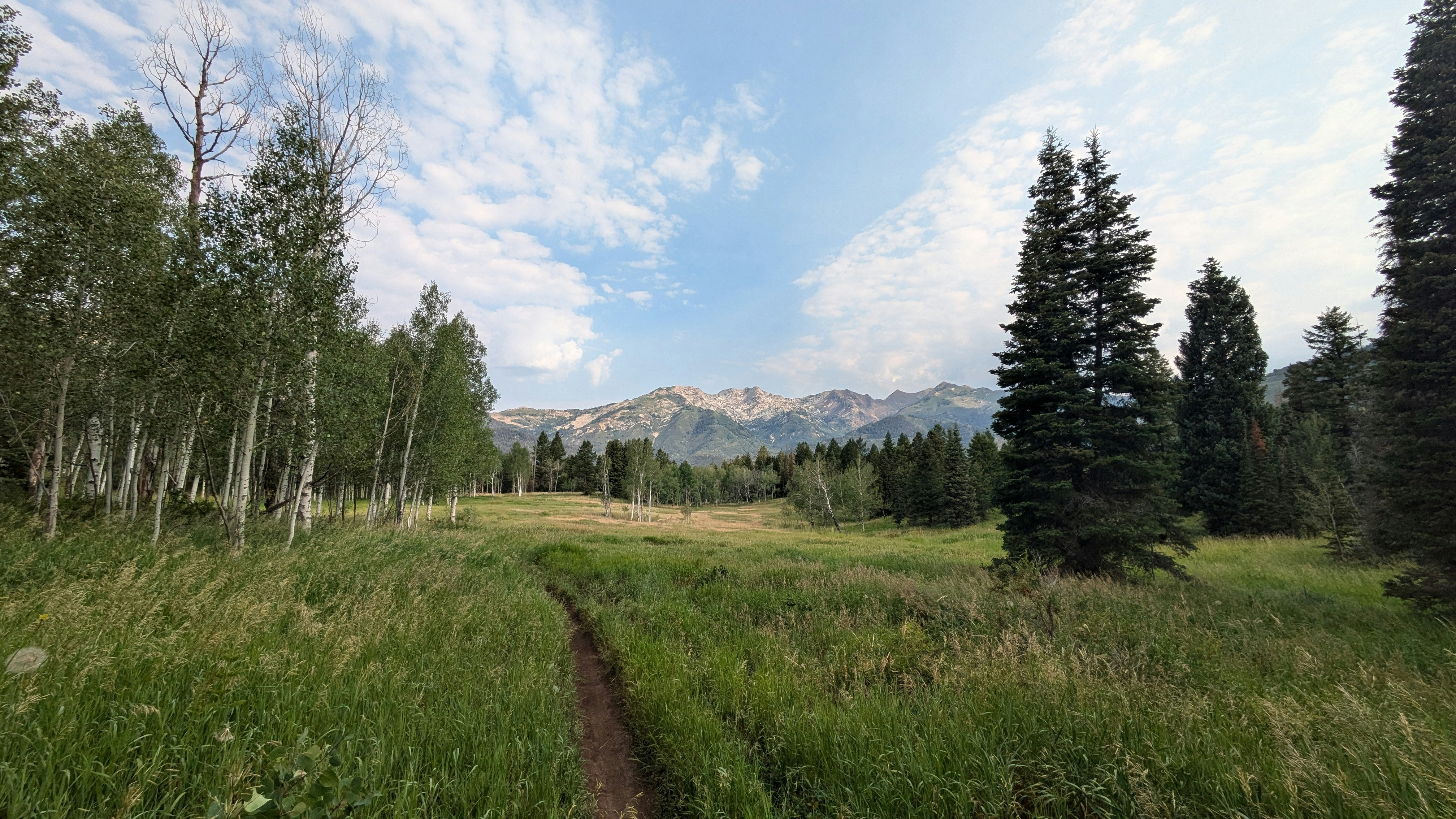 Photo by kevinzollinger