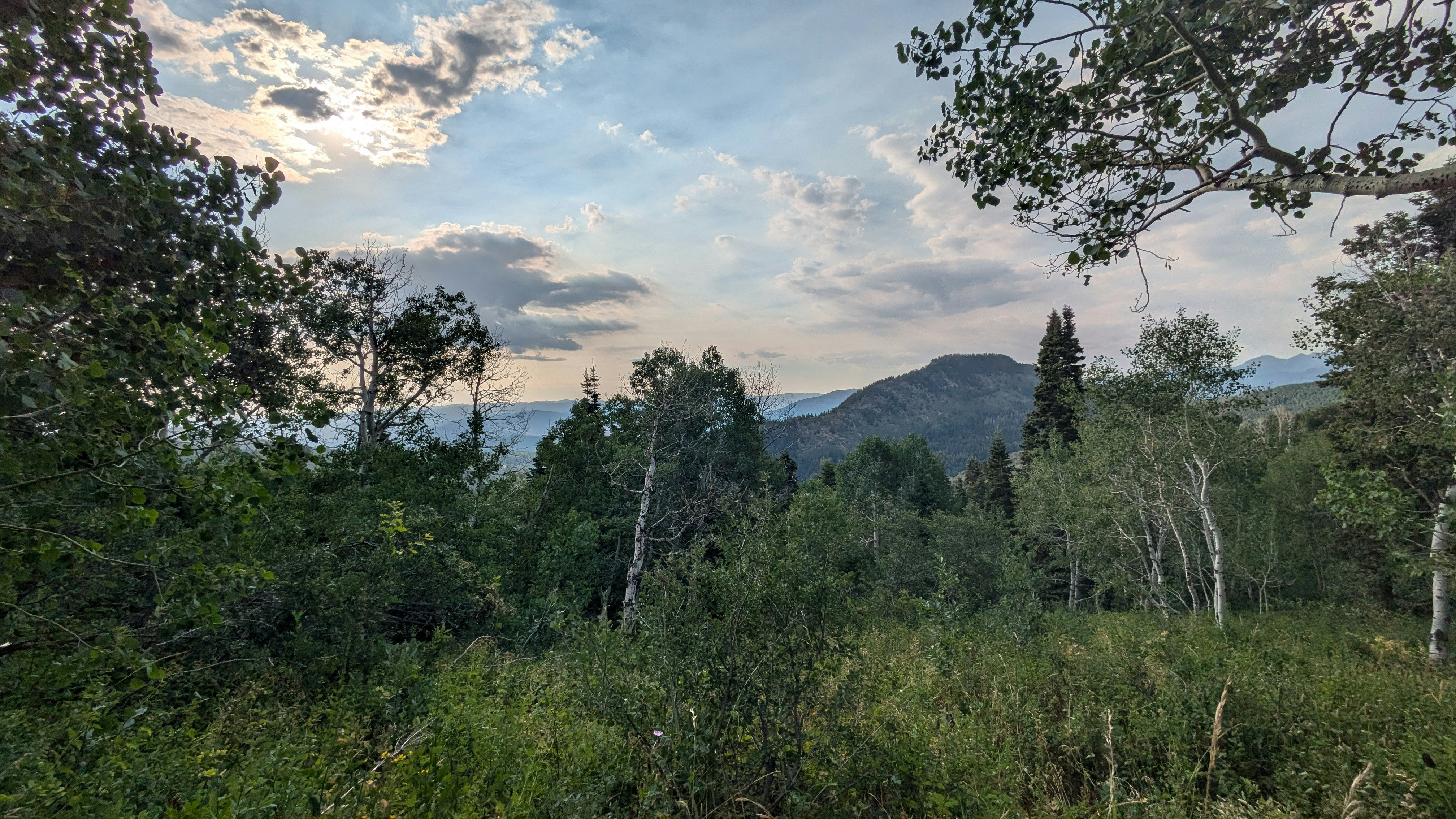 Photo by kevinzollinger