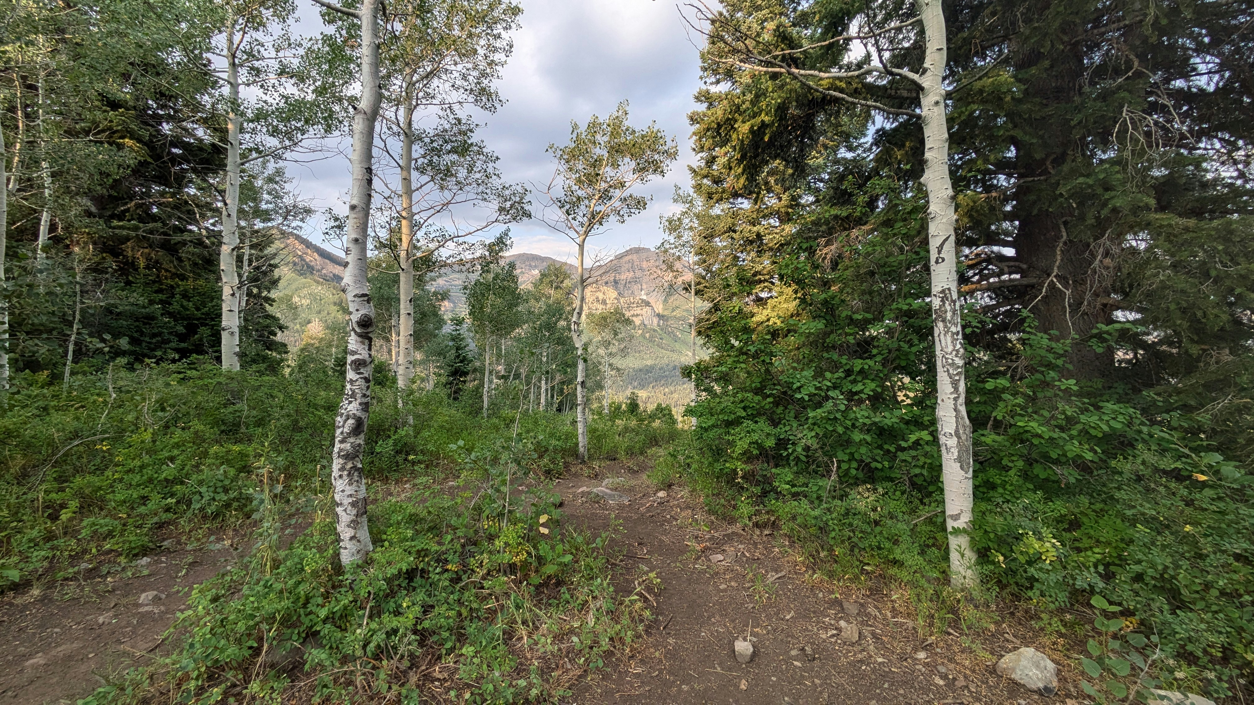 Photo by kevinzollinger