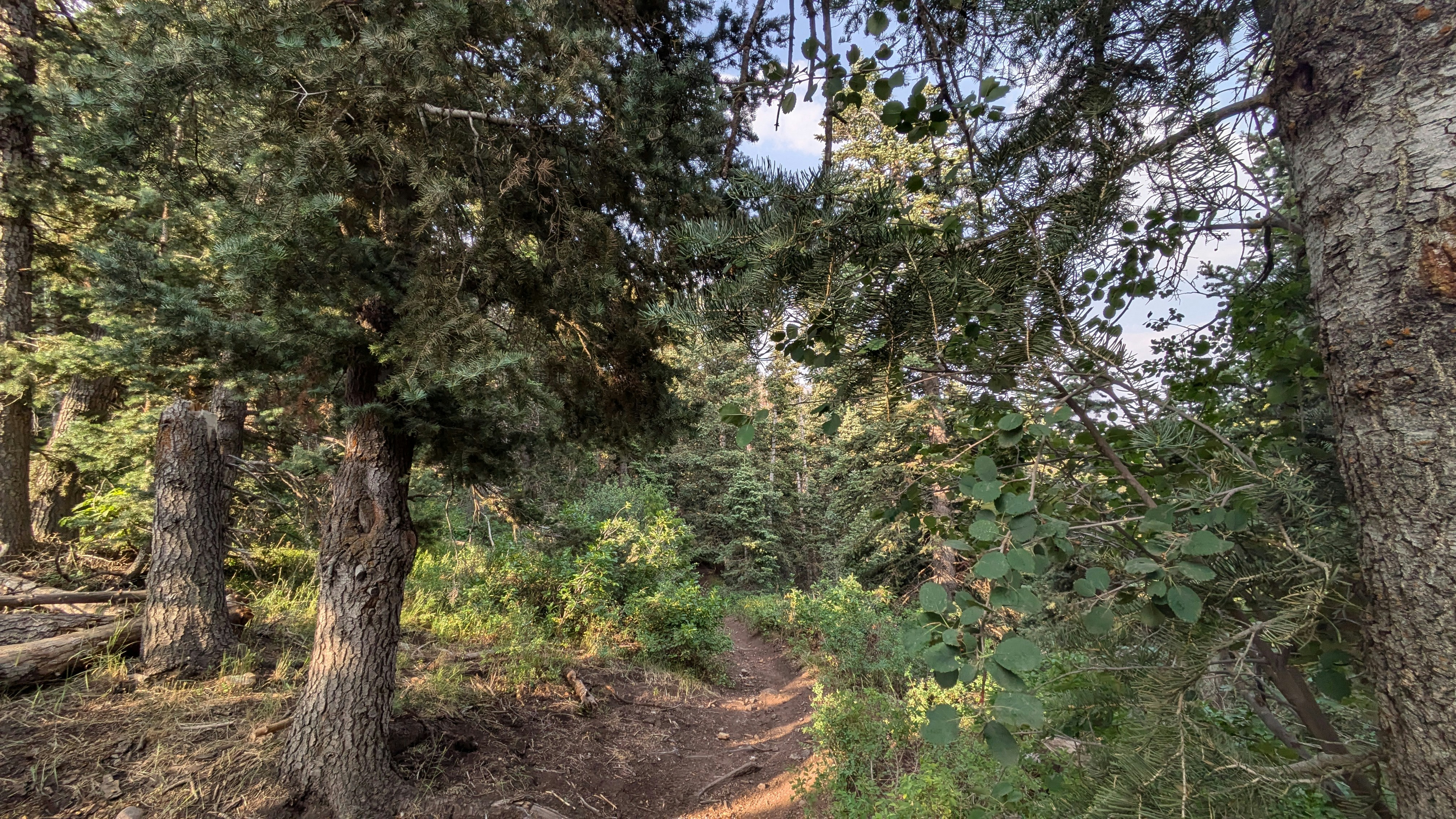 Photo by kevinzollinger