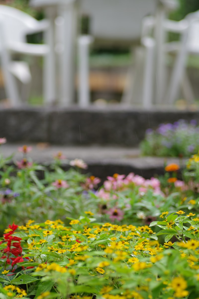 A garden filled with colorful flowers and landscaping