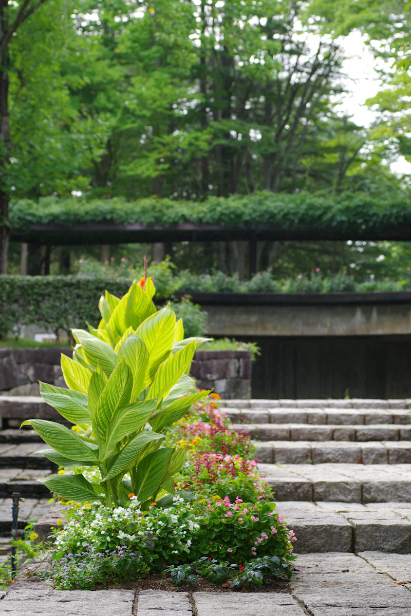 Stone patio with steps and plants
