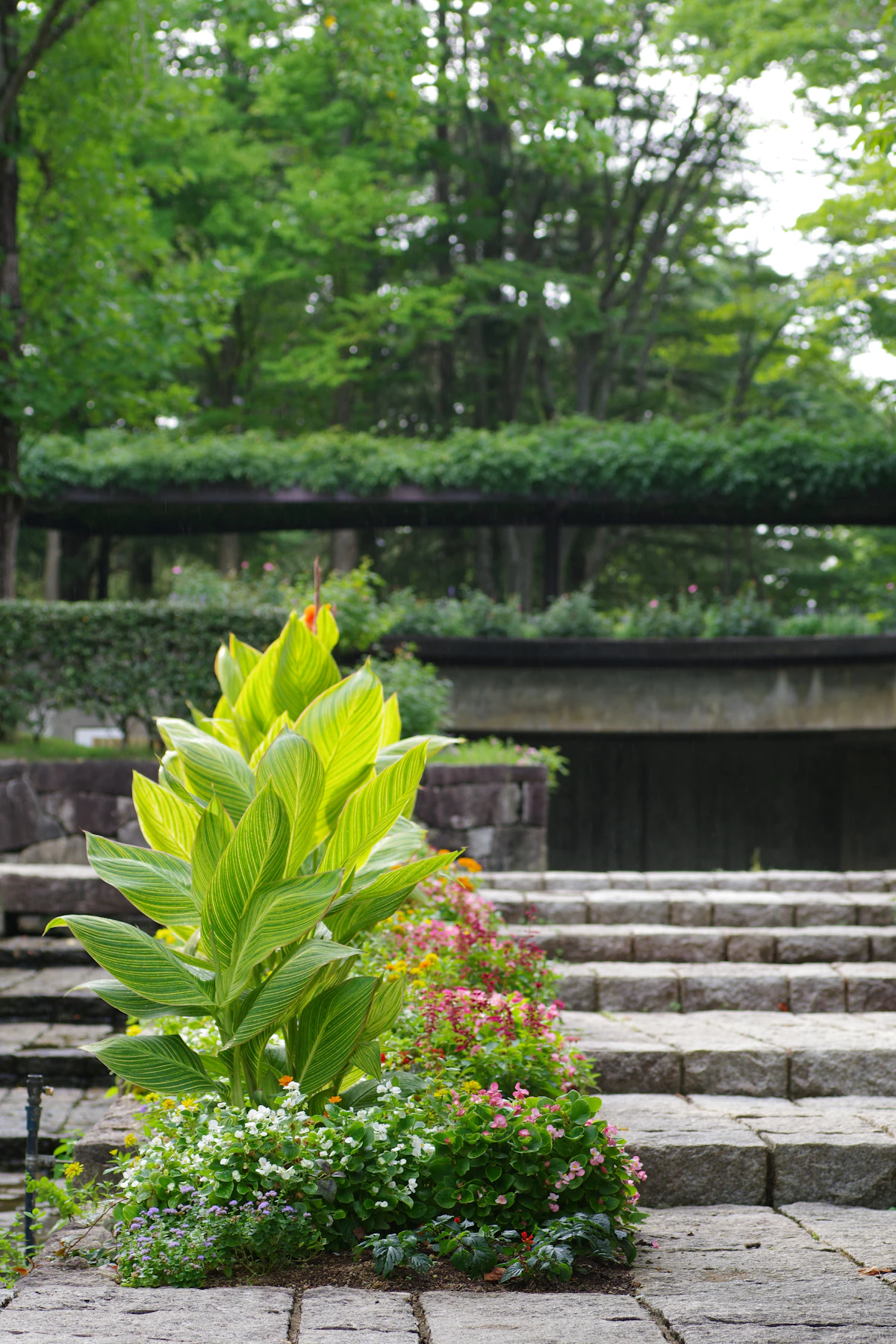 Hardscapes & Patios