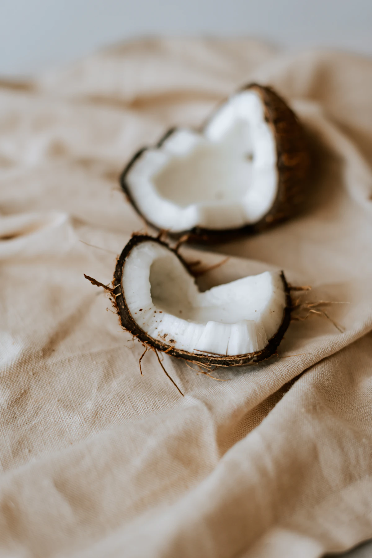 A couple of coconuts that are on a table