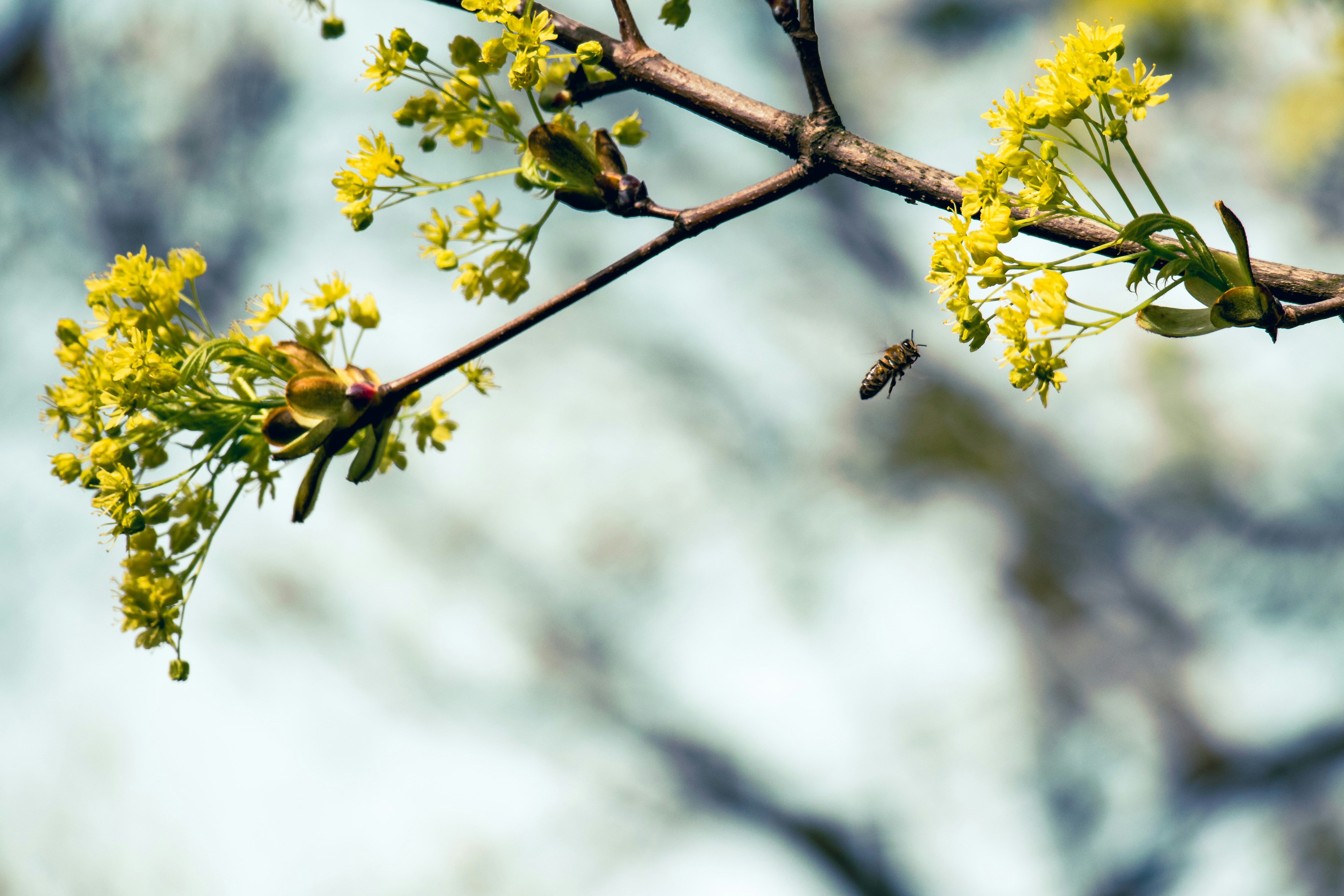 Photo by artur_luczka