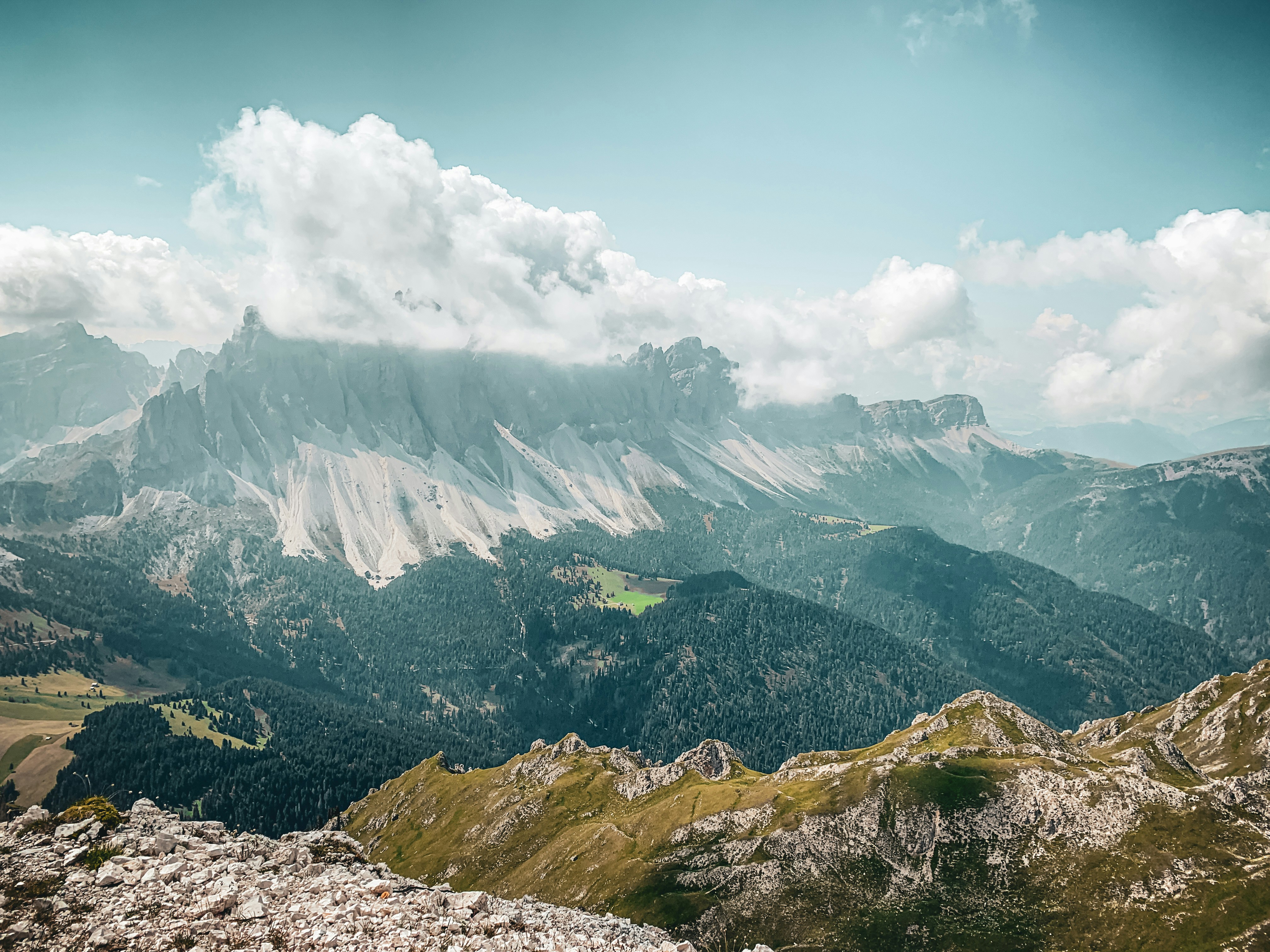 Photo by shutter_speed_