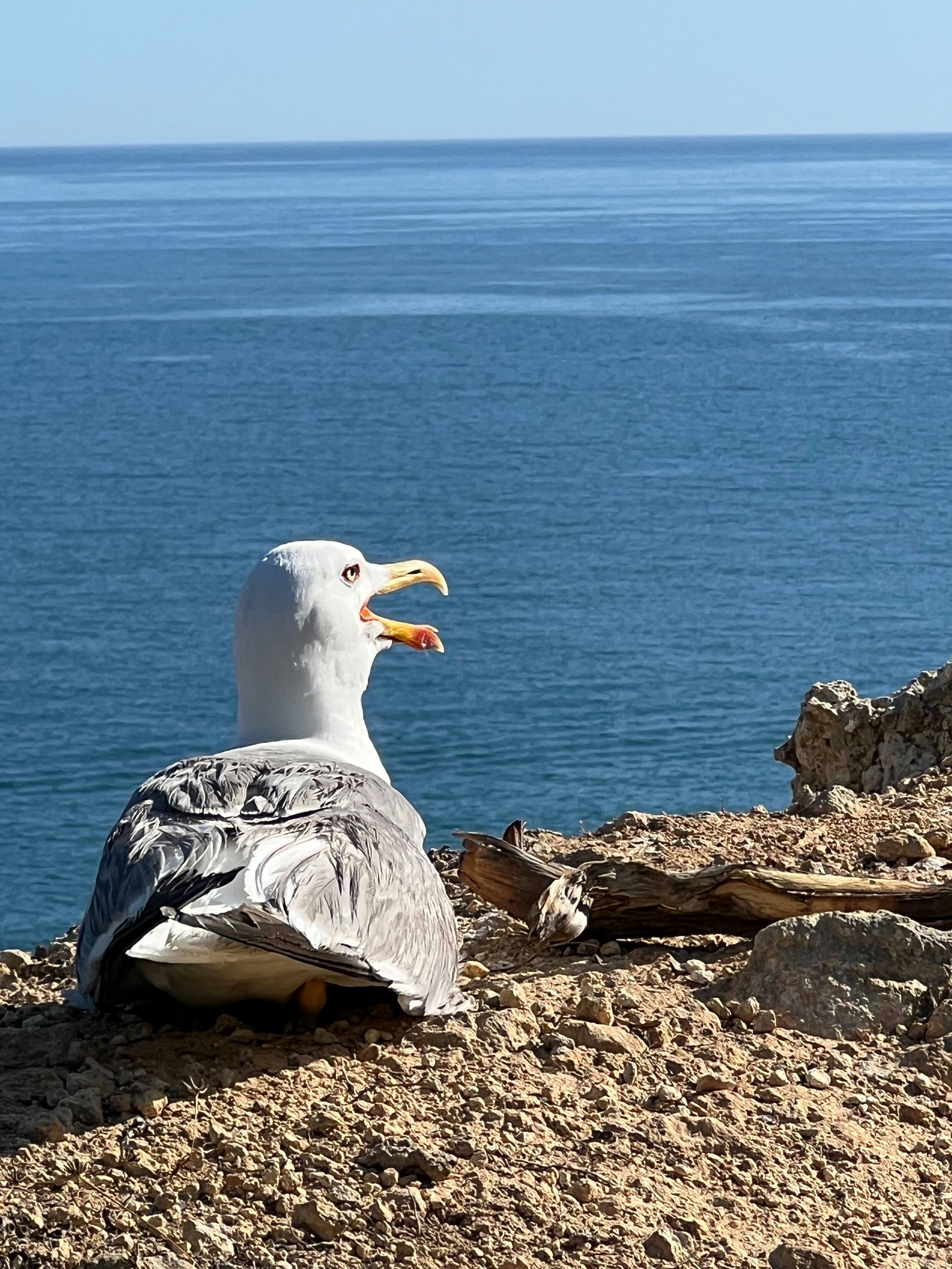 Photo by ddutki_world