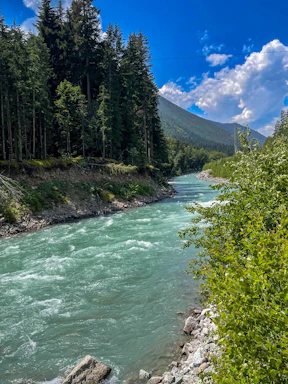 A river running through a lush green forest