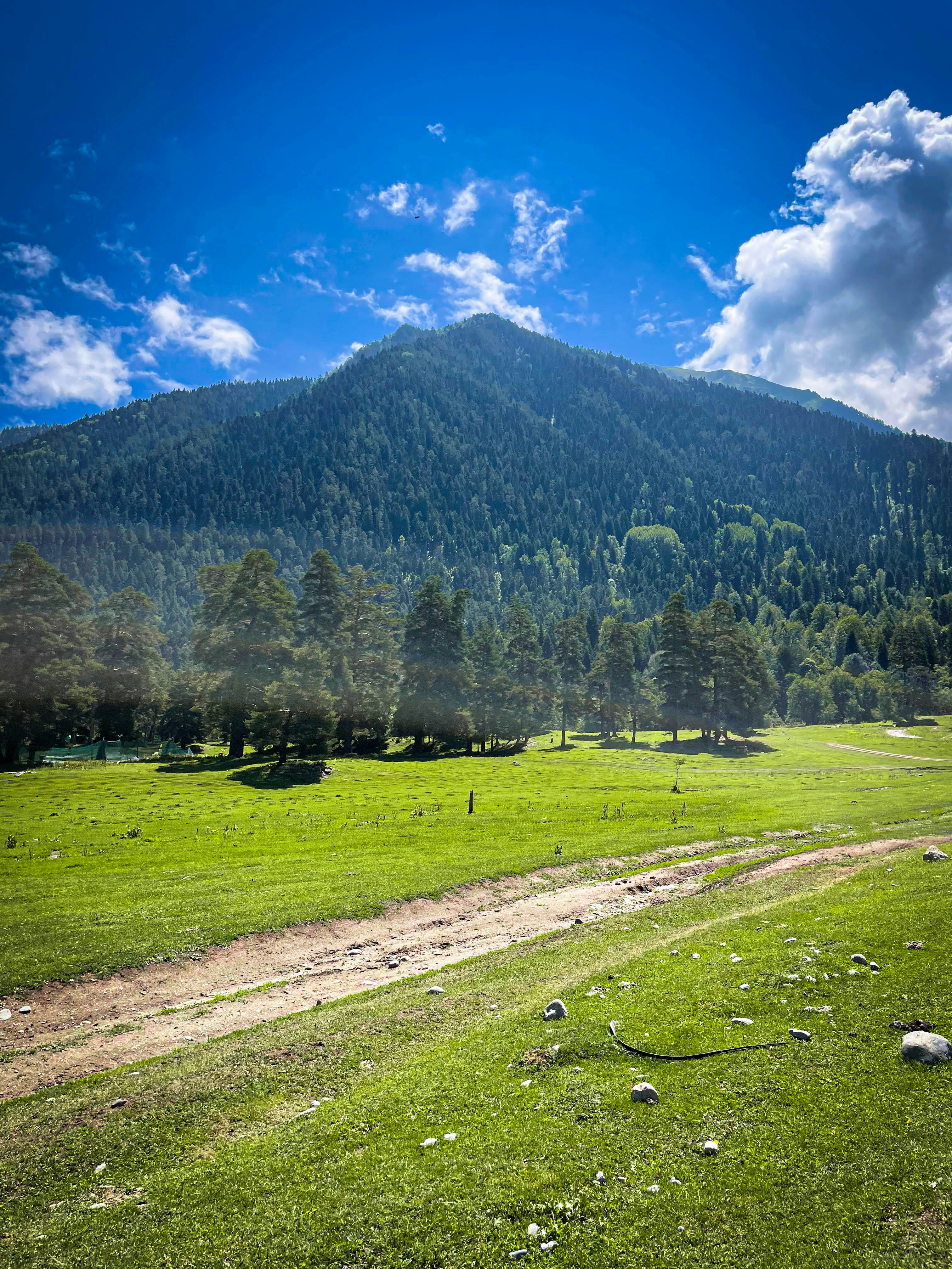Photo by zelenykh