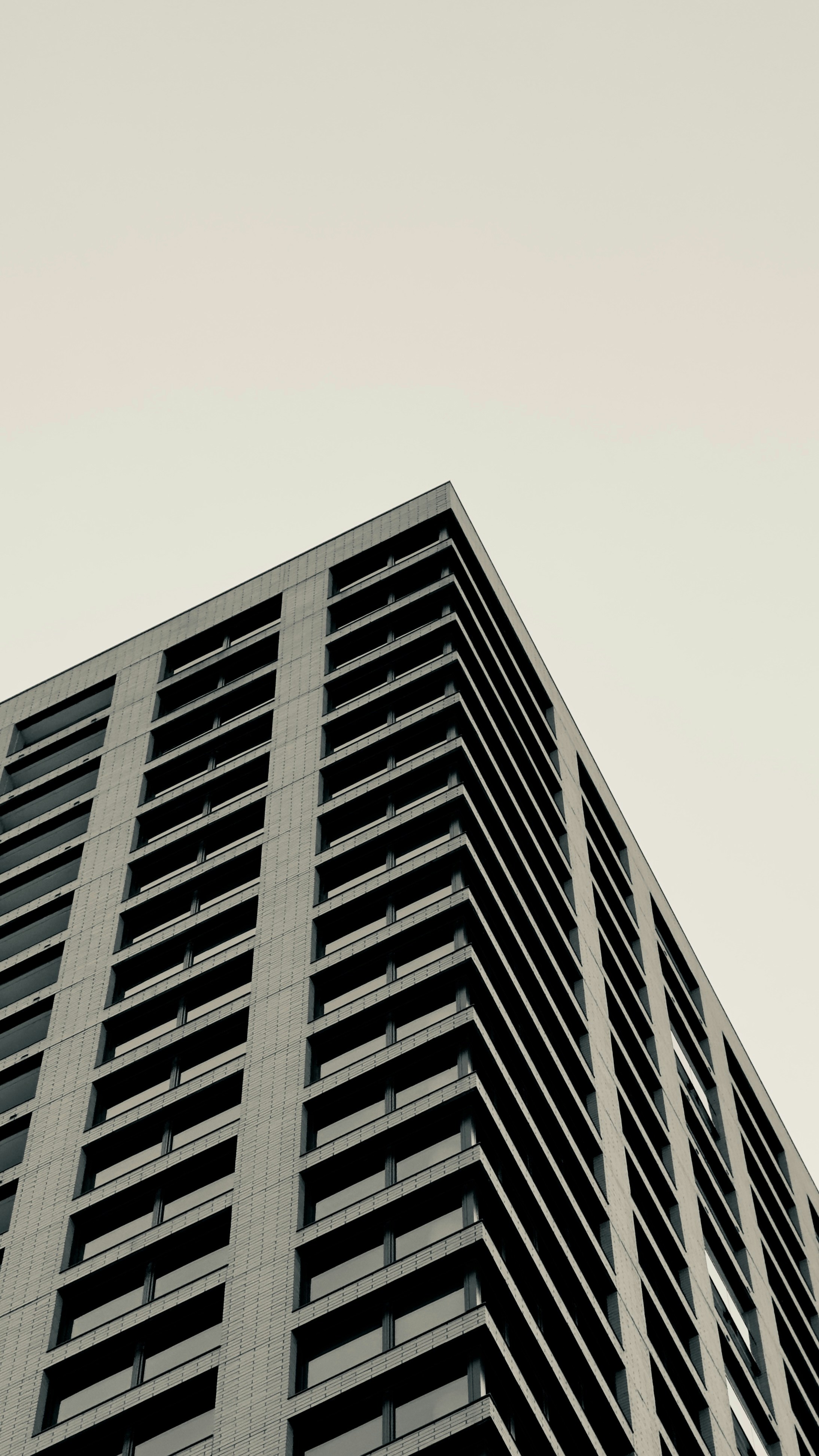 Photo by keyhole_dogged