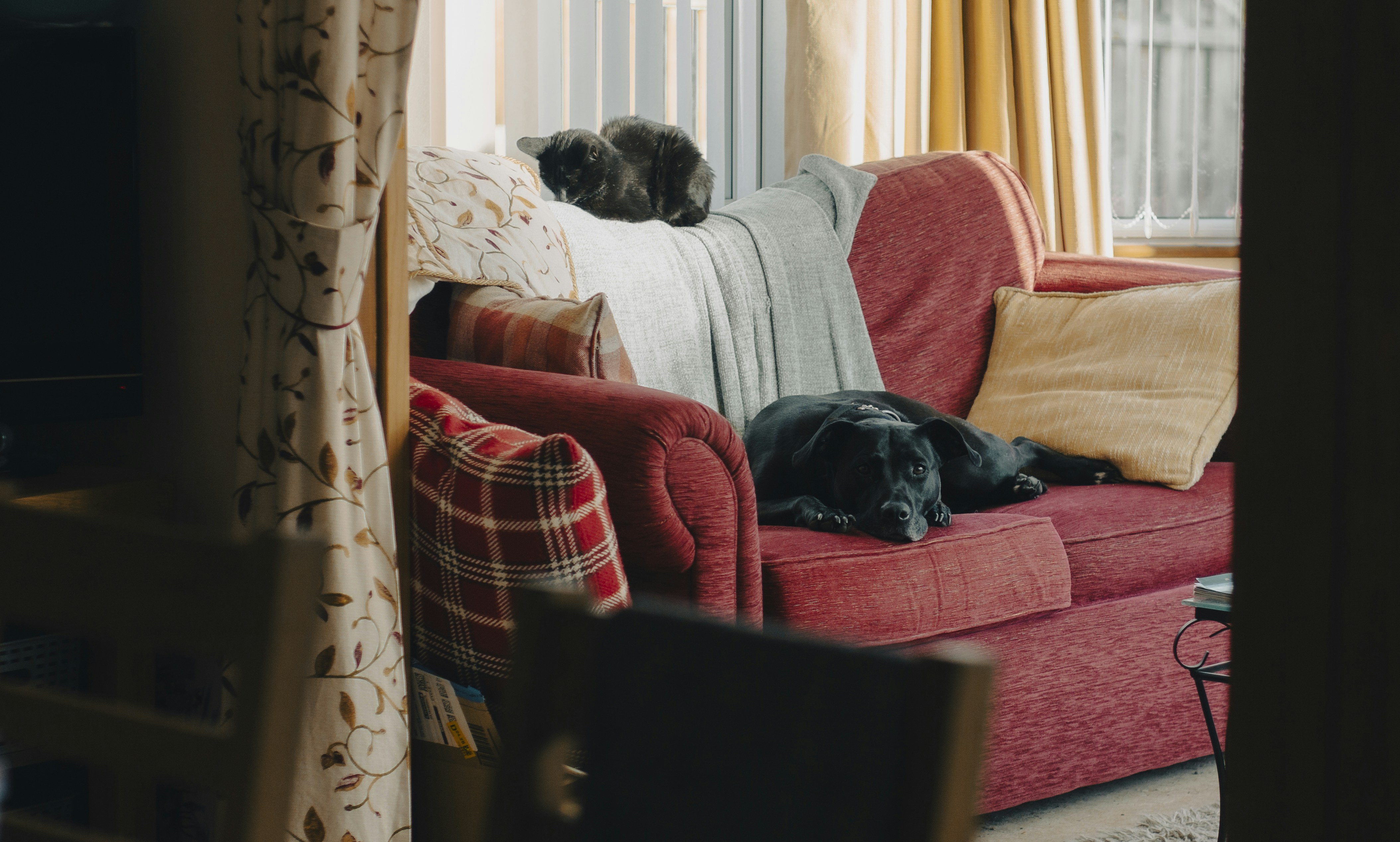 Rest as a Key to Stress Recovery