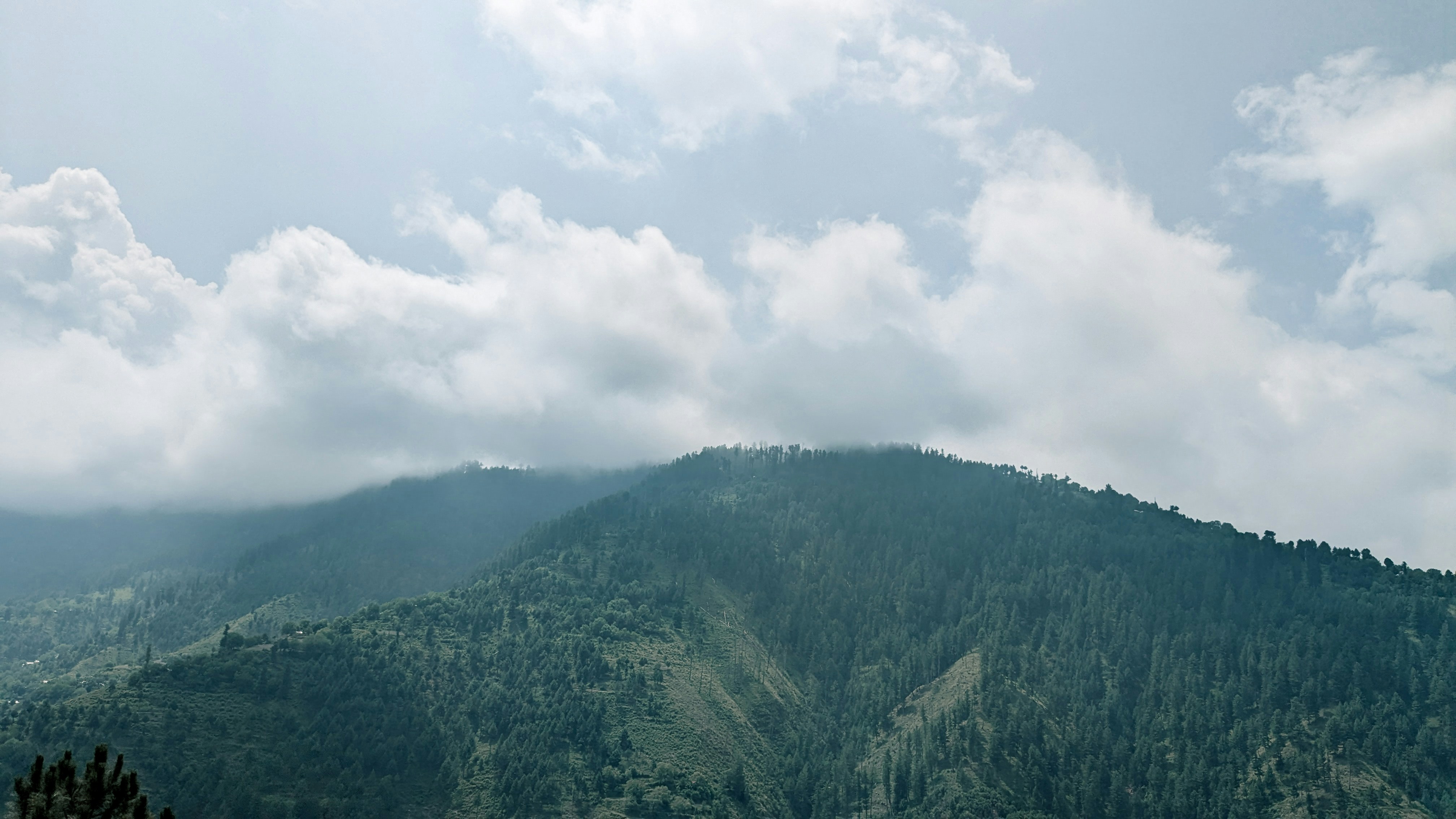 Photo by drphotographer152