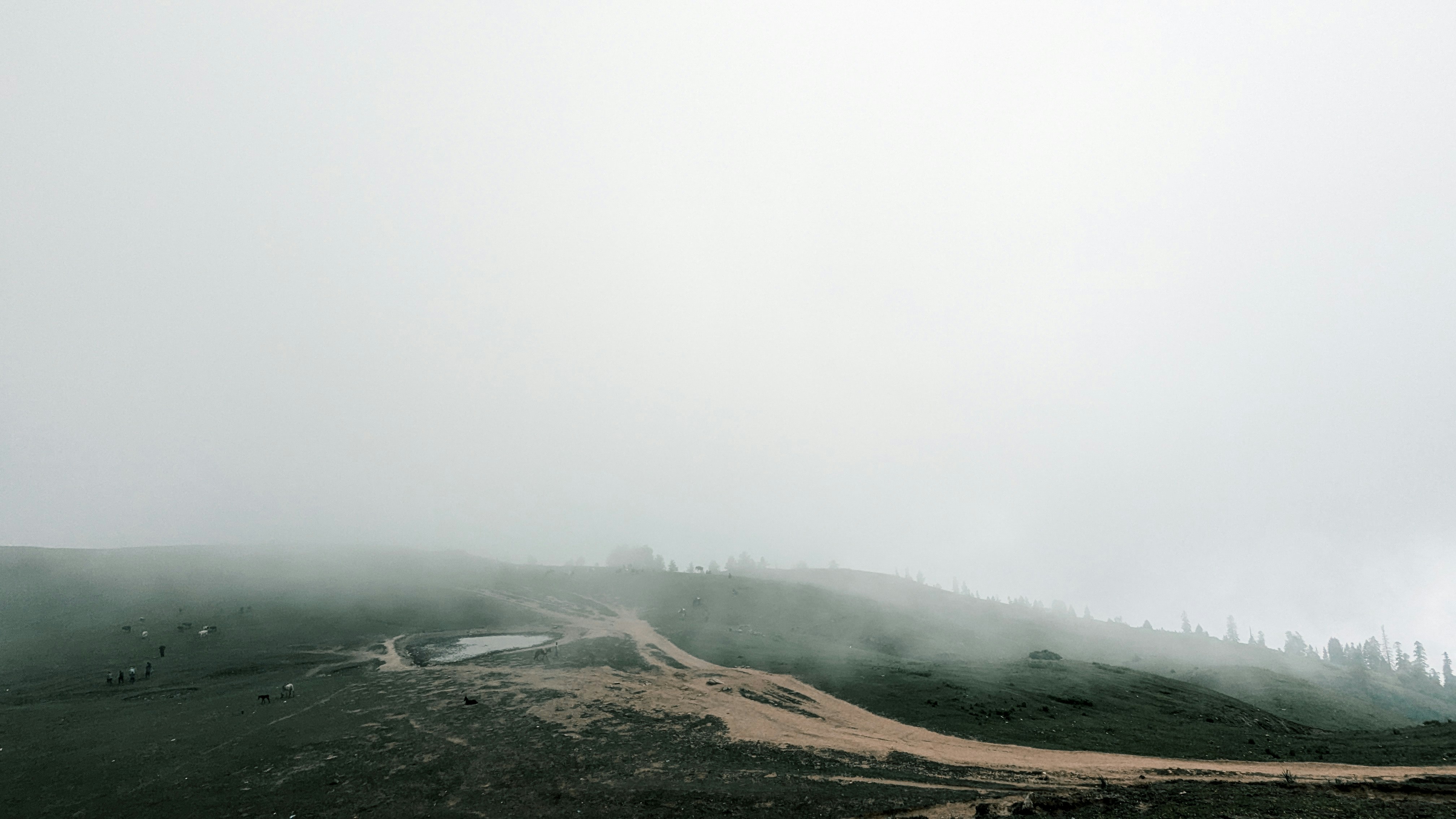 Photo by drphotographer152