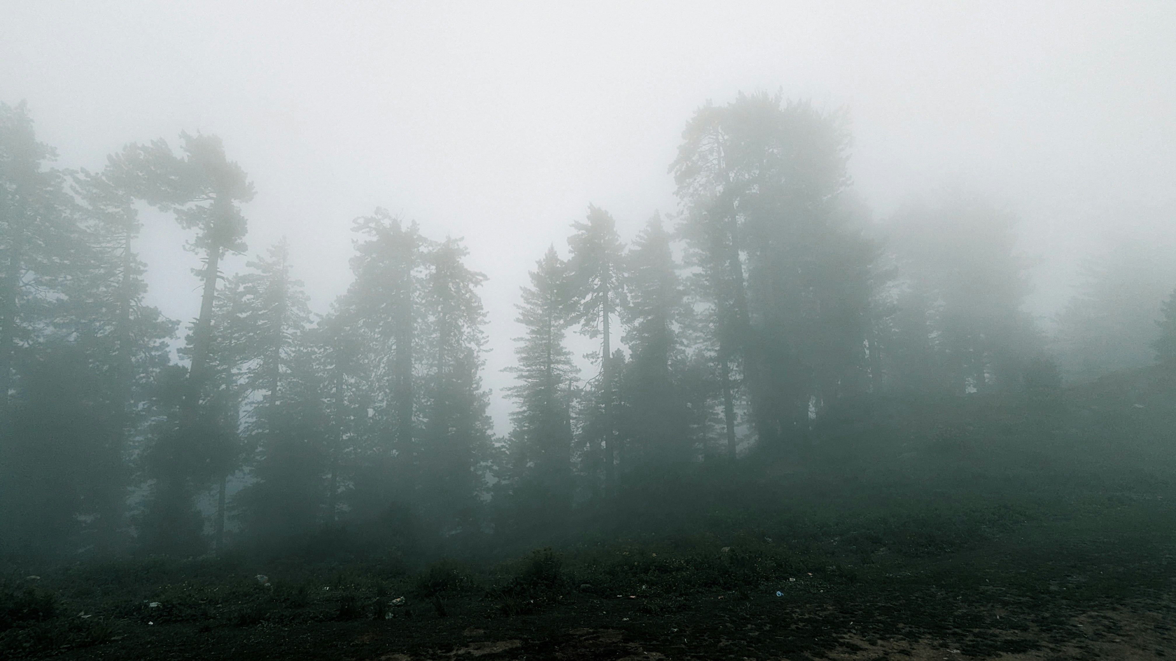 Photo by drphotographer152