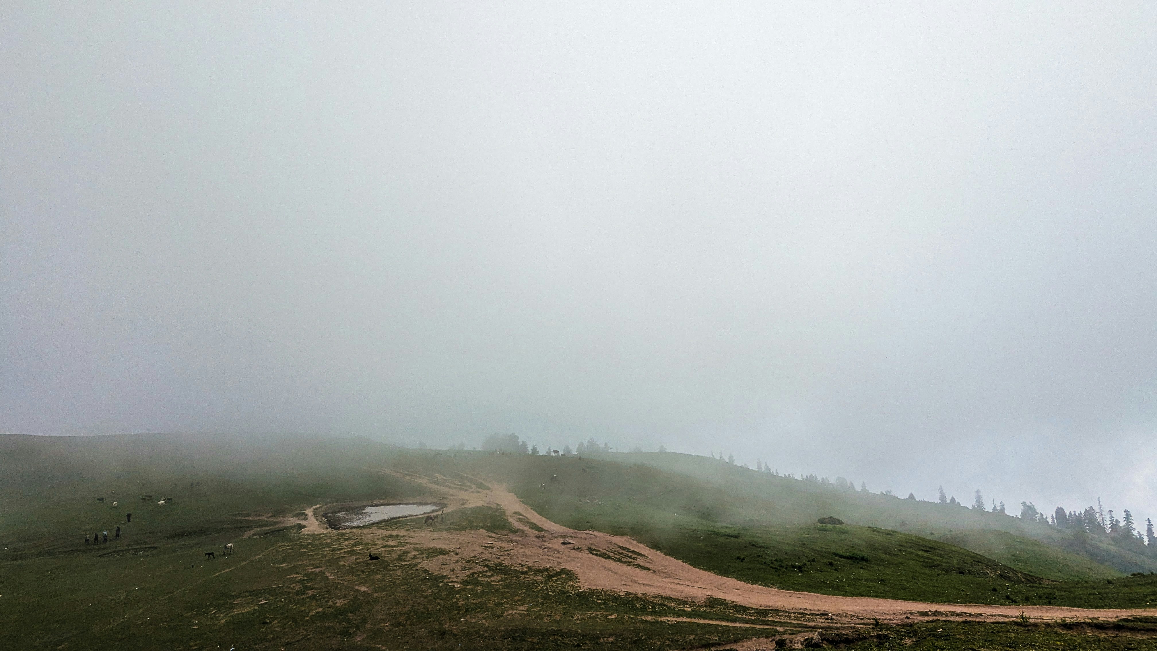 Photo by drphotographer152