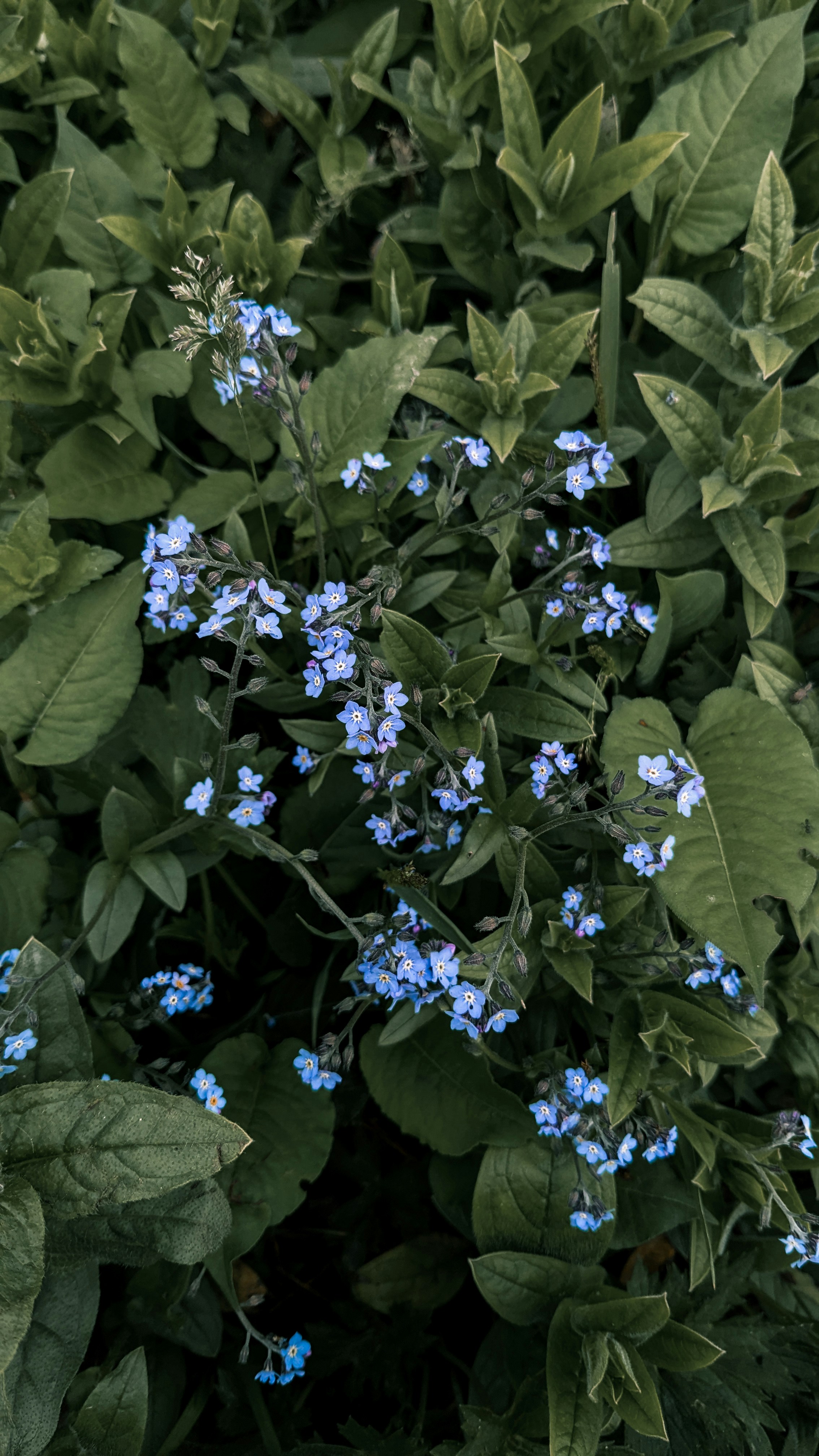 Photo by drphotographer152