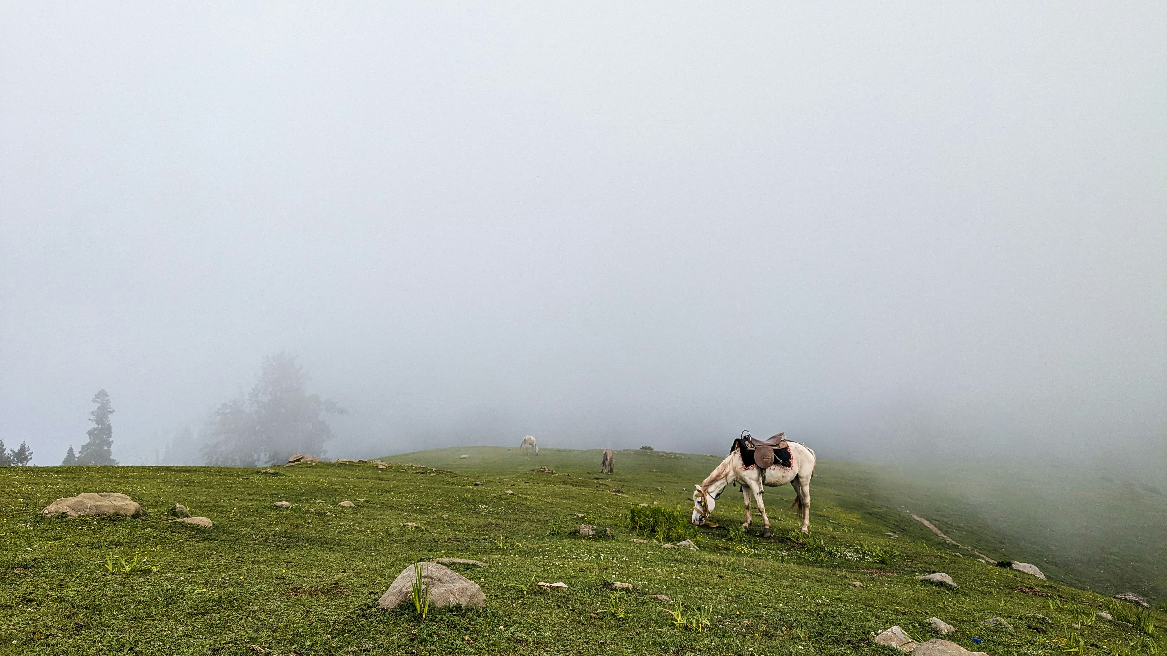 Photo by drphotographer152