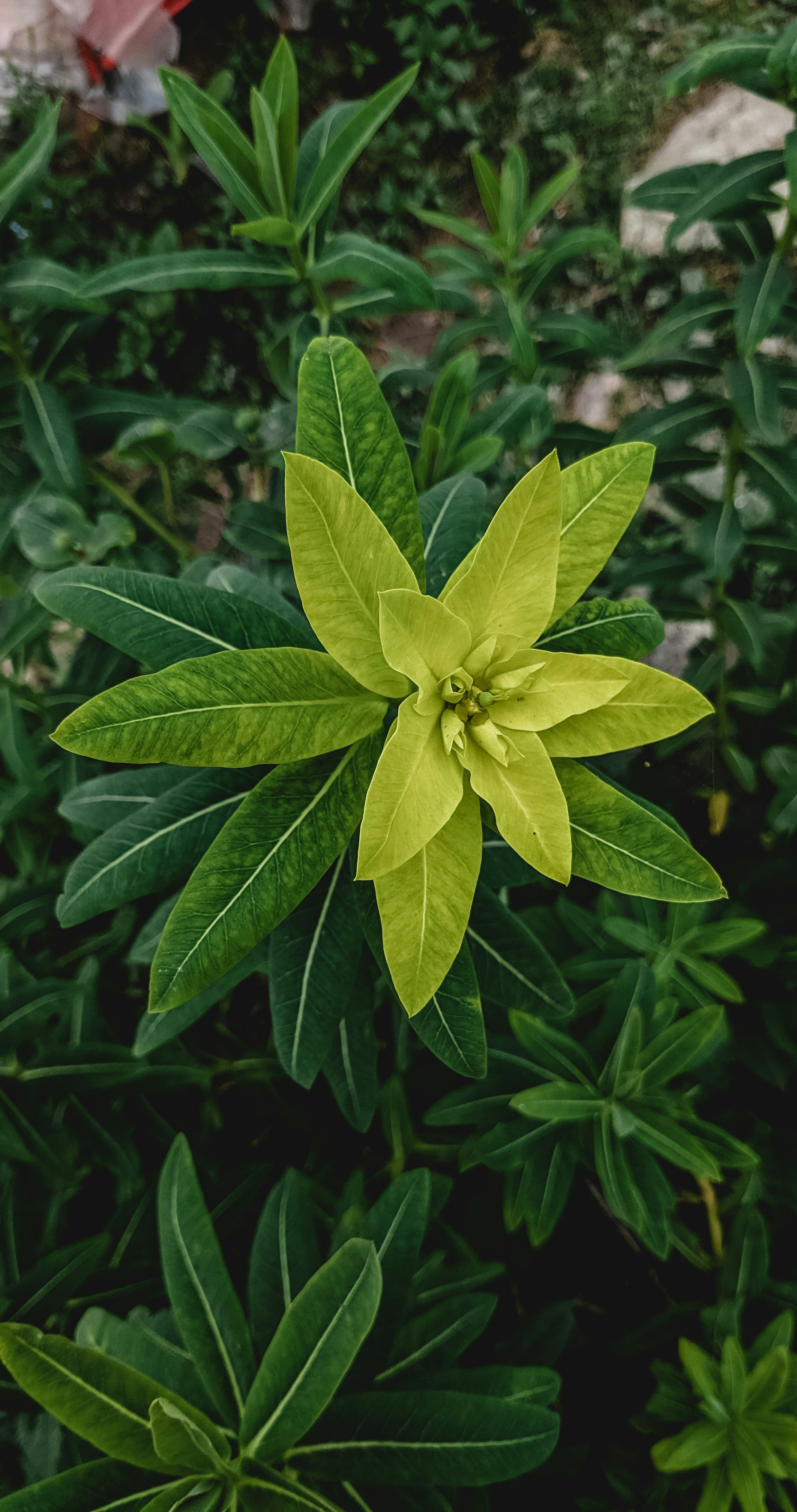 Photo by drphotographer152