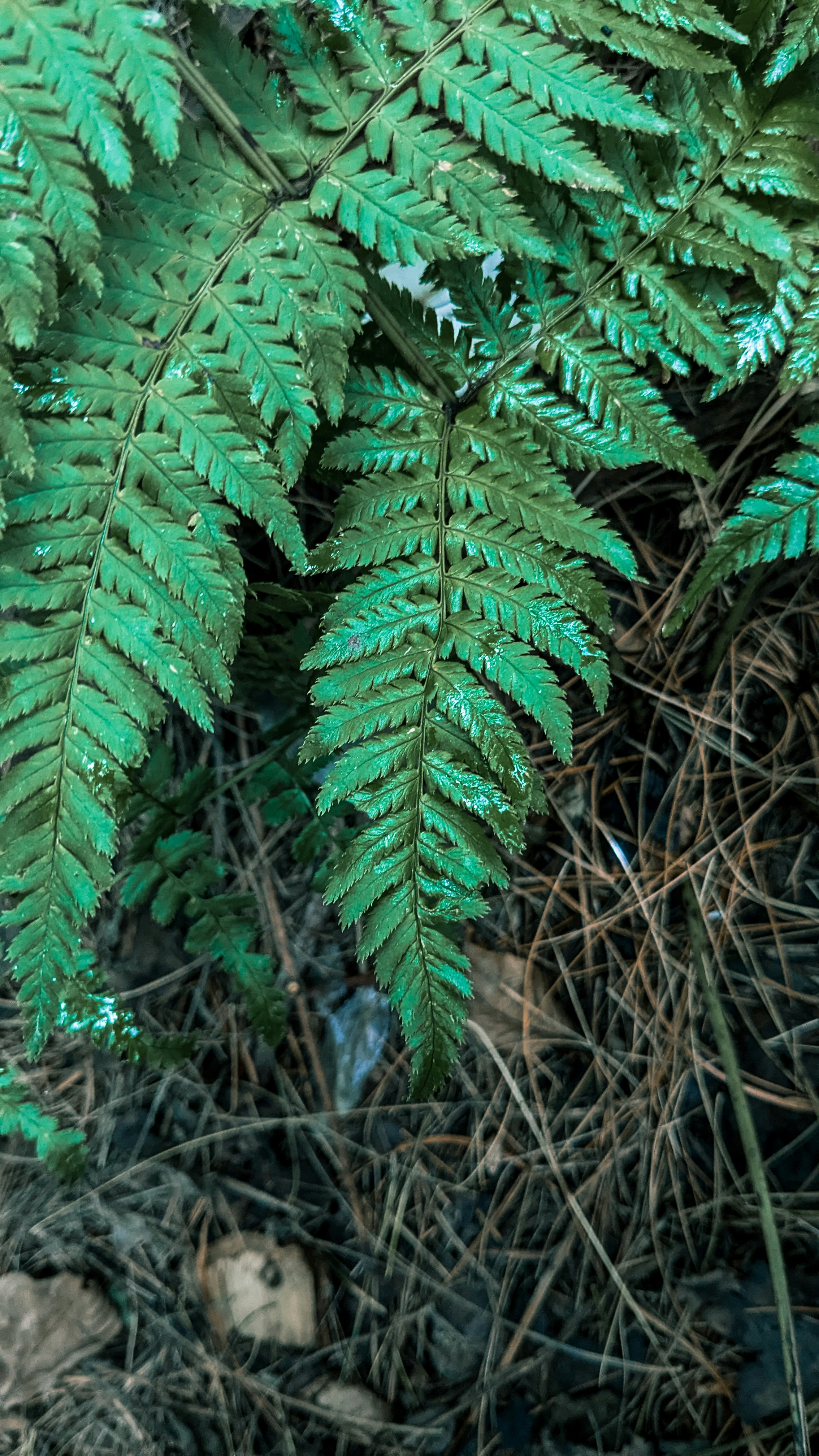 Photo by drphotographer152