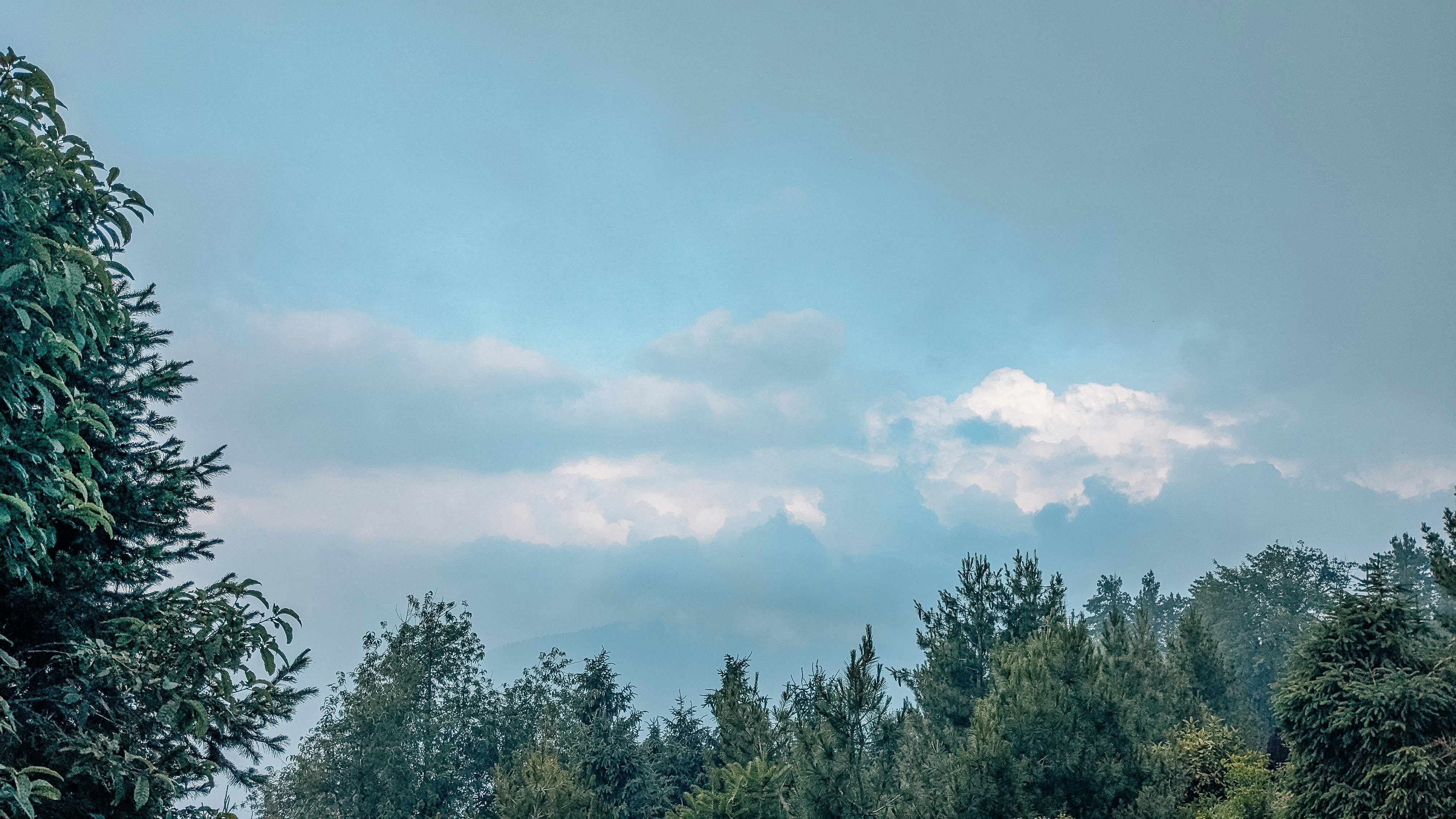 Photo by drphotographer152