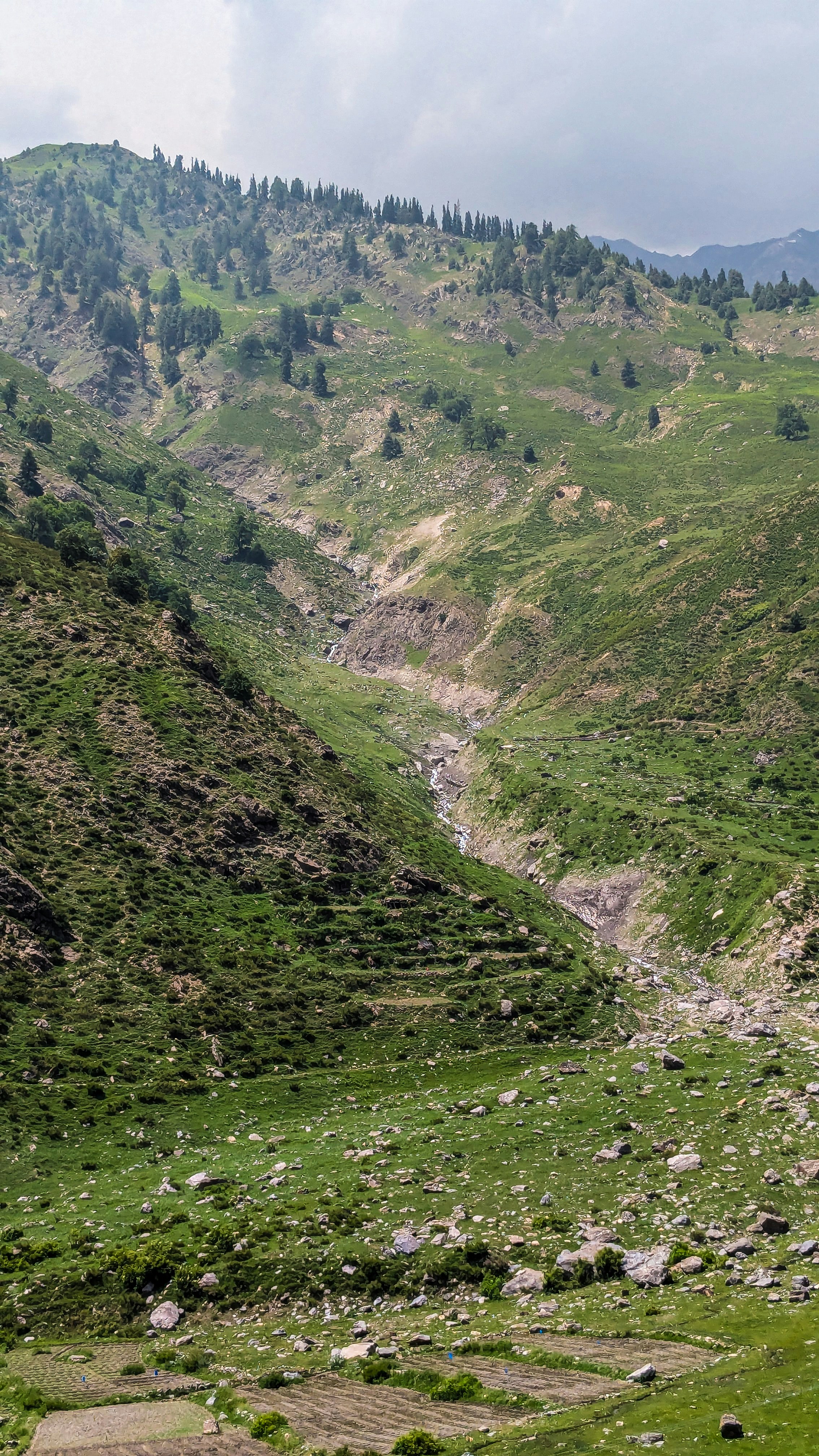 Photo 1722107969630 F0edd6ba0726?ixid=M3w0MzUxNjF8MHwxfHNlYXJjaHw4fHxTd2F0JTIwdmFsbGV5c3xlbnwwfHx8fDE3NjI5NTIwODl8MA&ixlib=rb 4.1