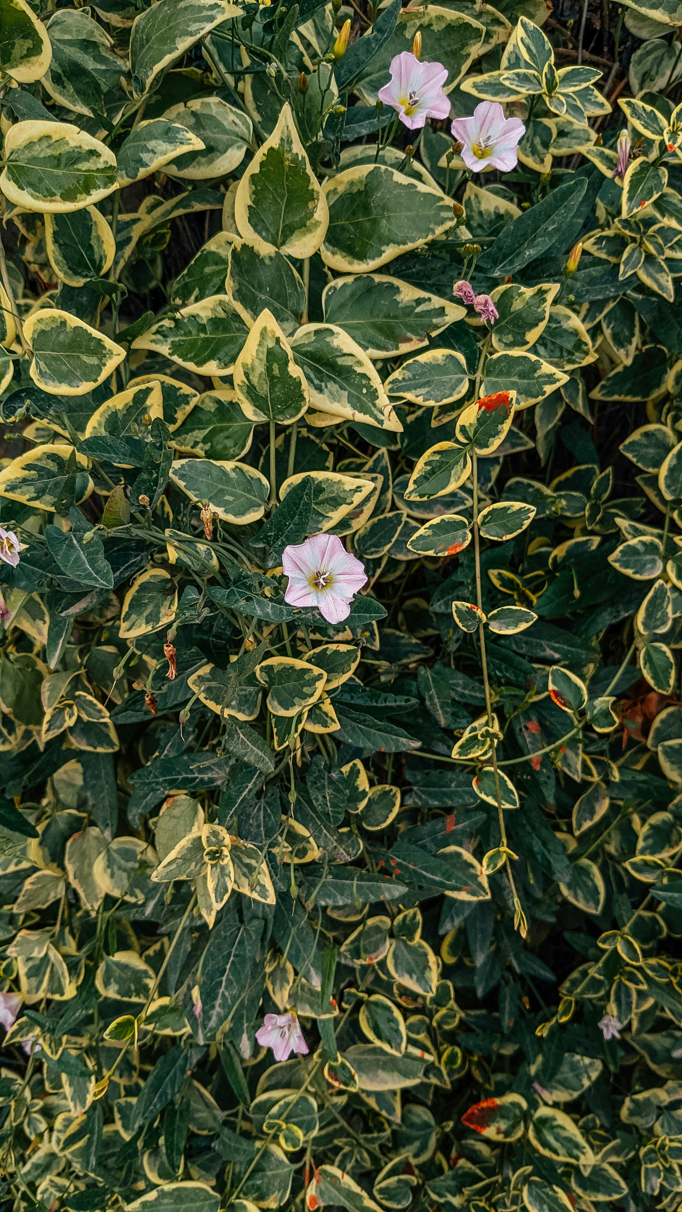 Photo by drphotographer152