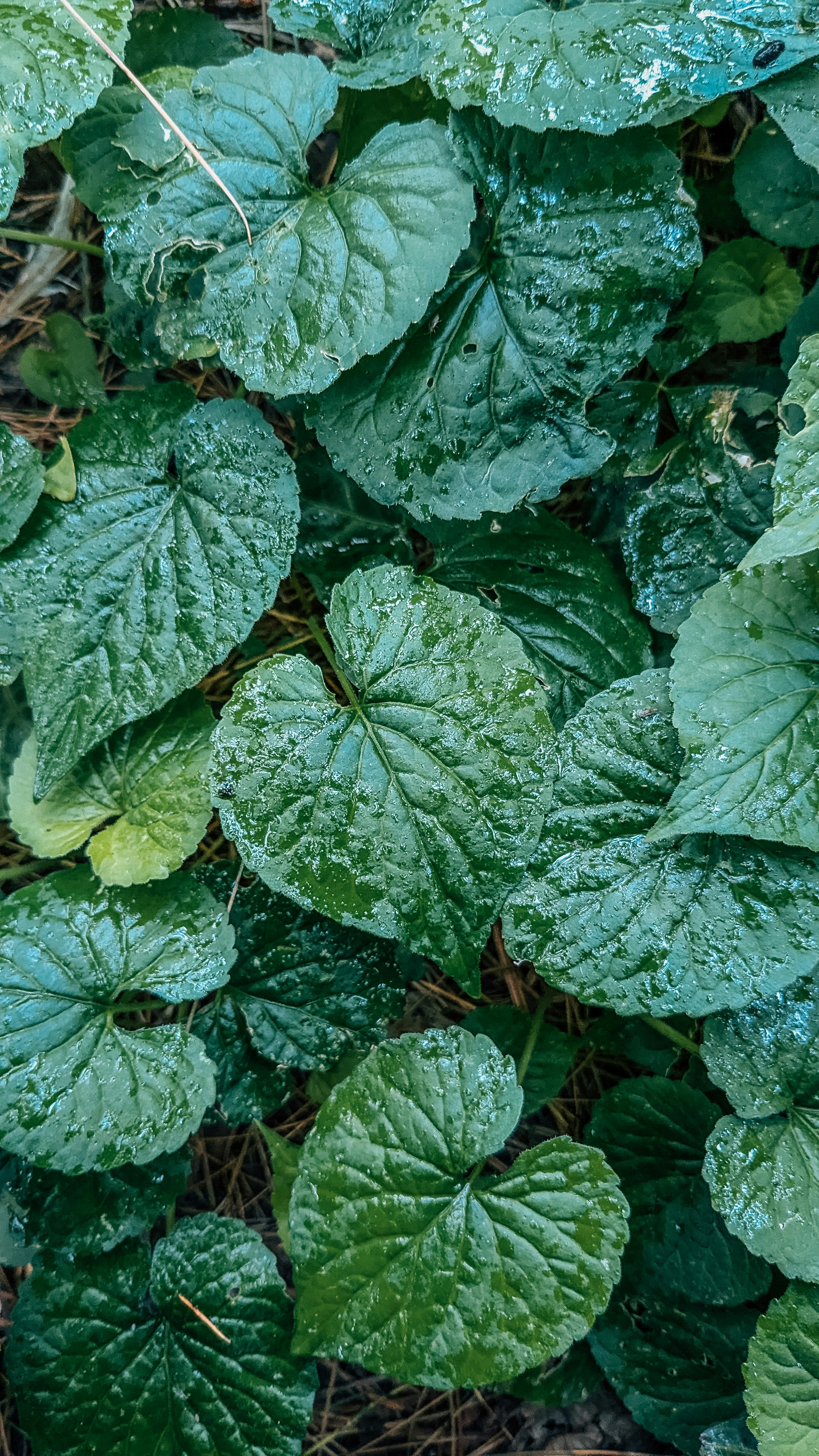 Photo by drphotographer152