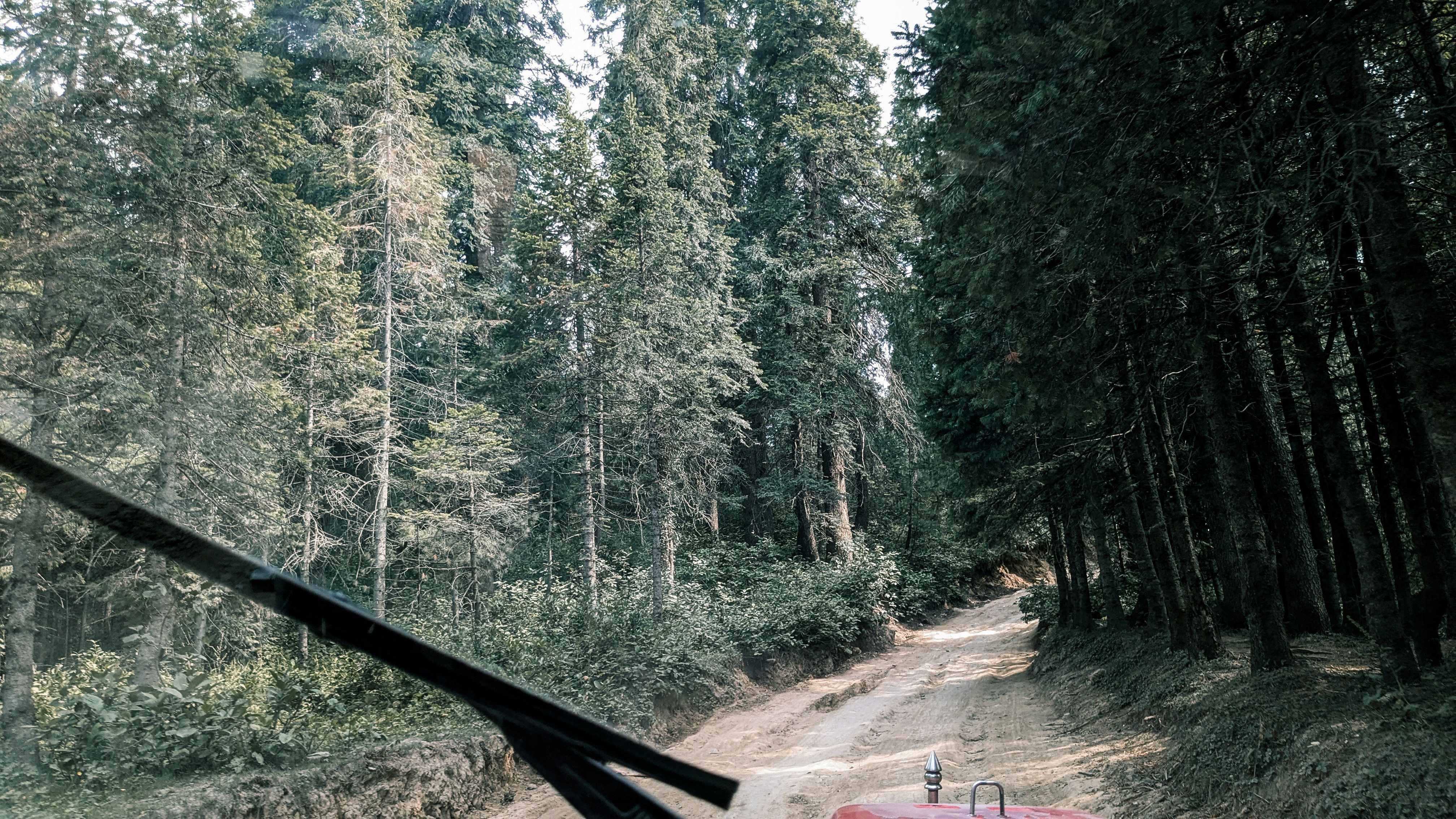 Photo by drphotographer152