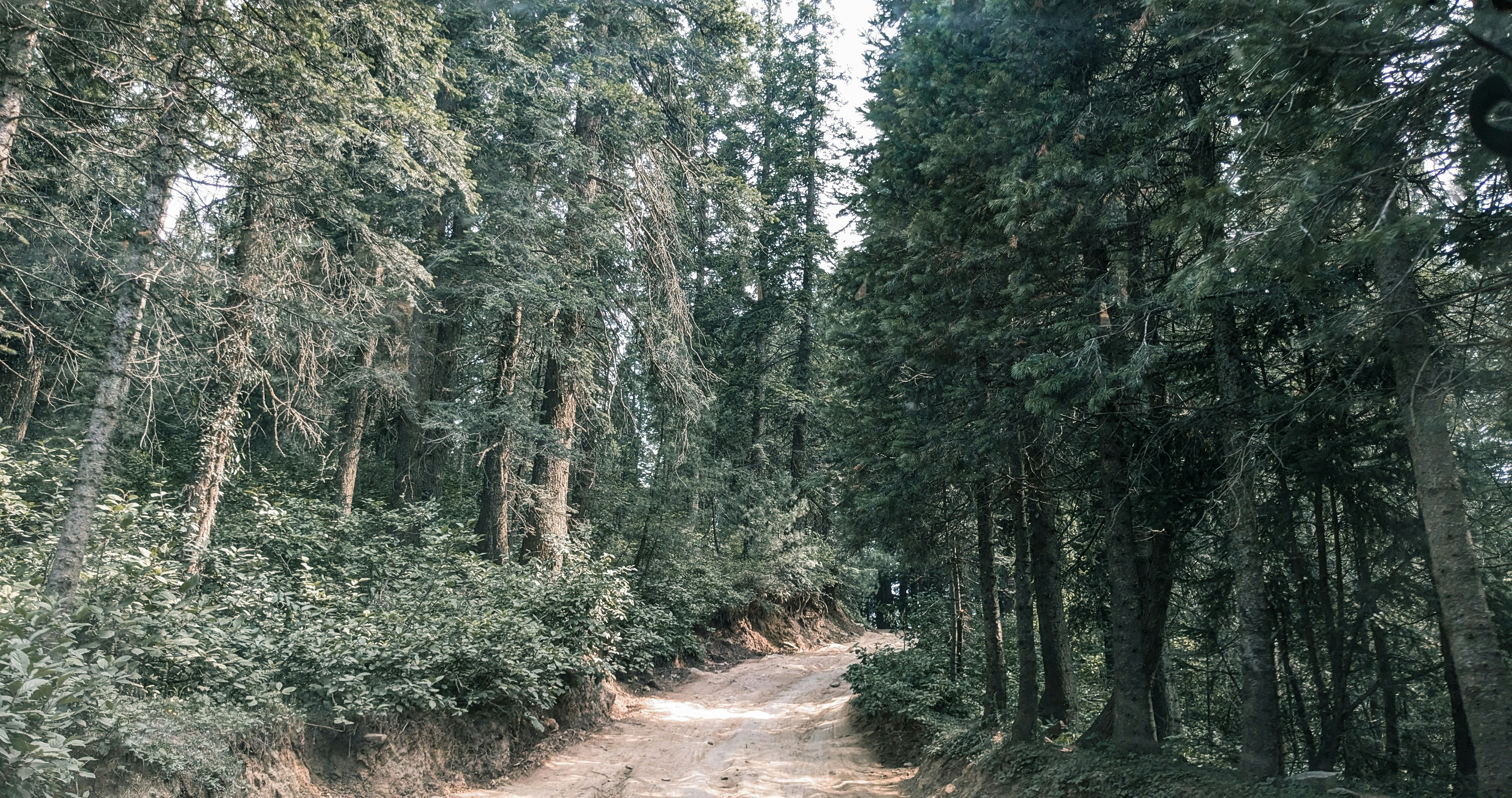 Photo by drphotographer152