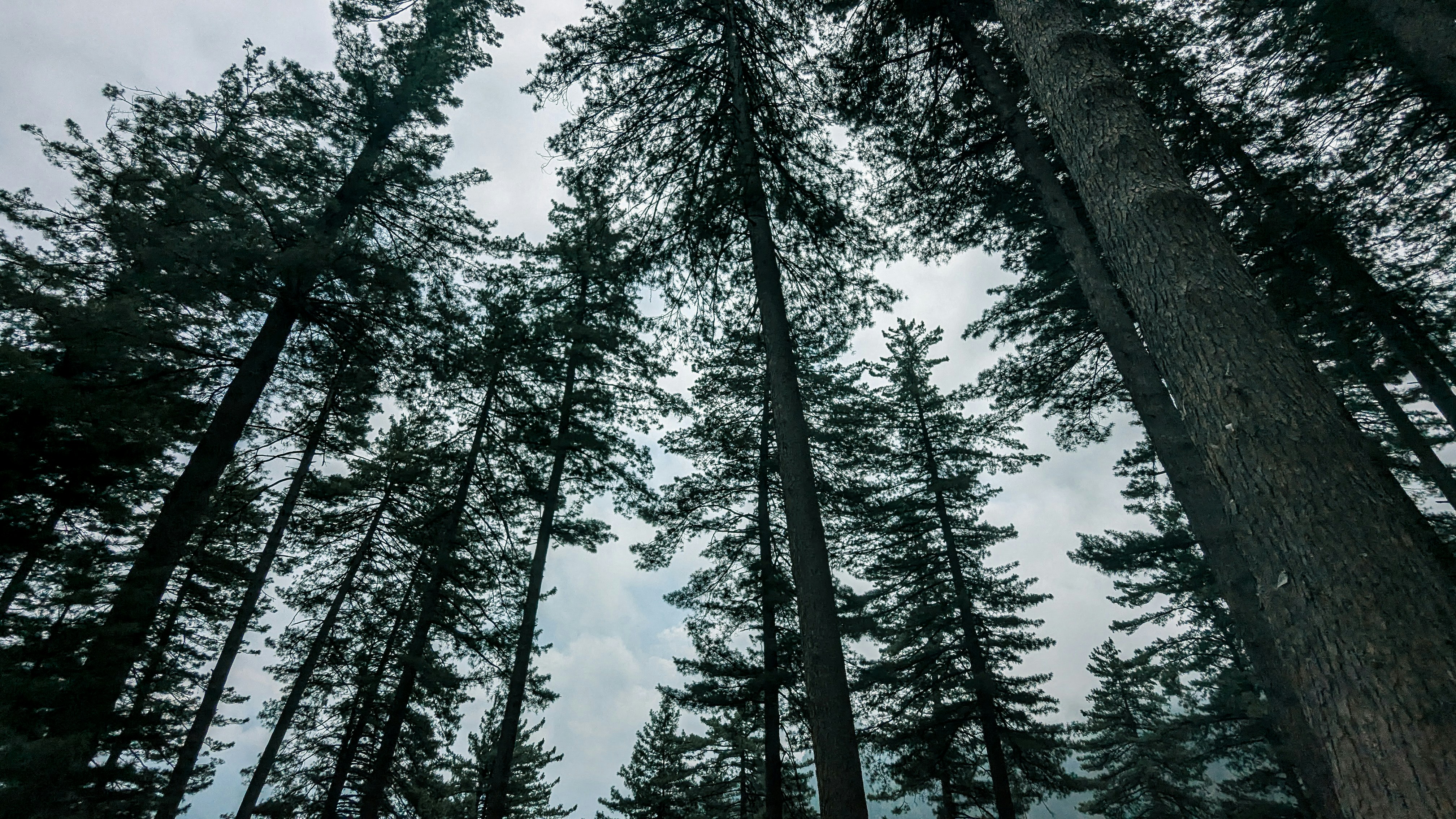 Photo by drphotographer152