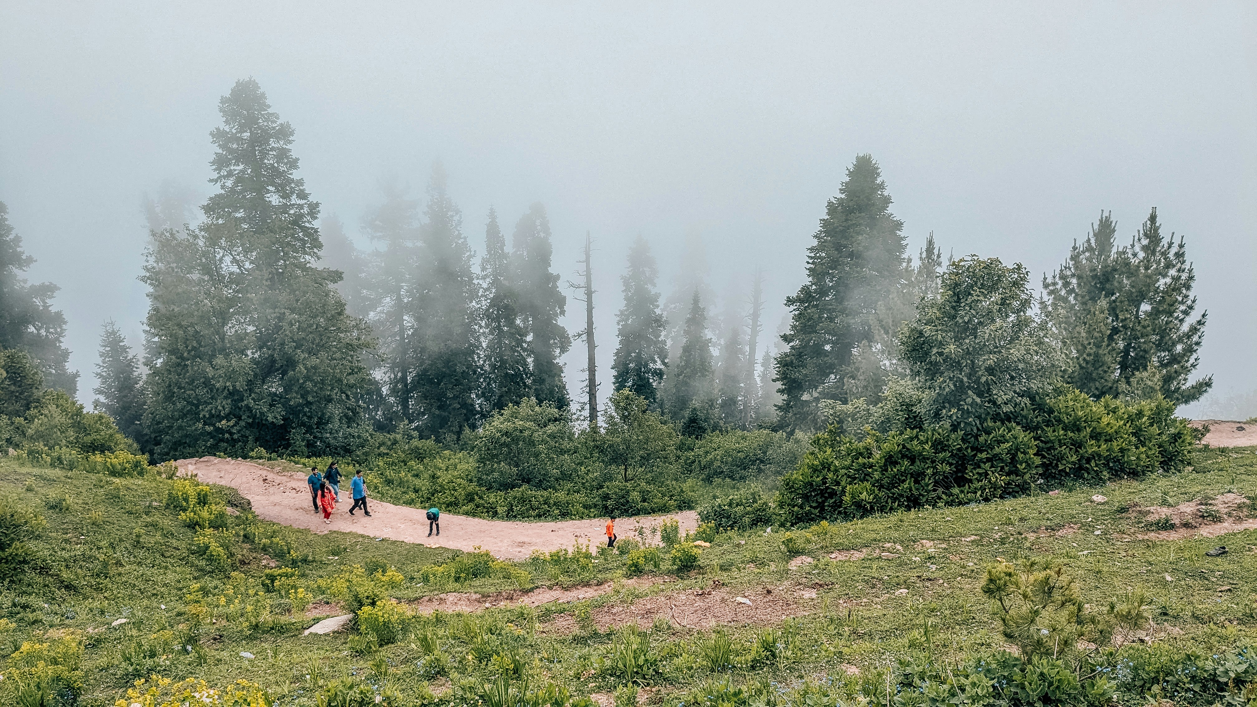 A group of people walking down a dirt road