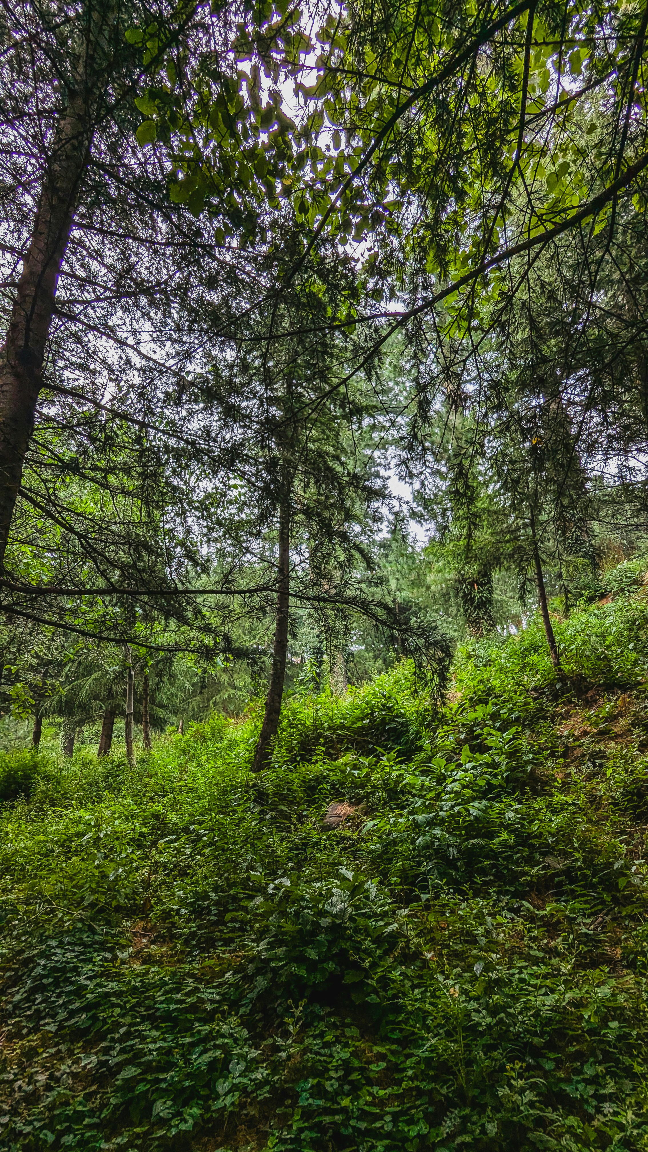 Photo by drphotographer152