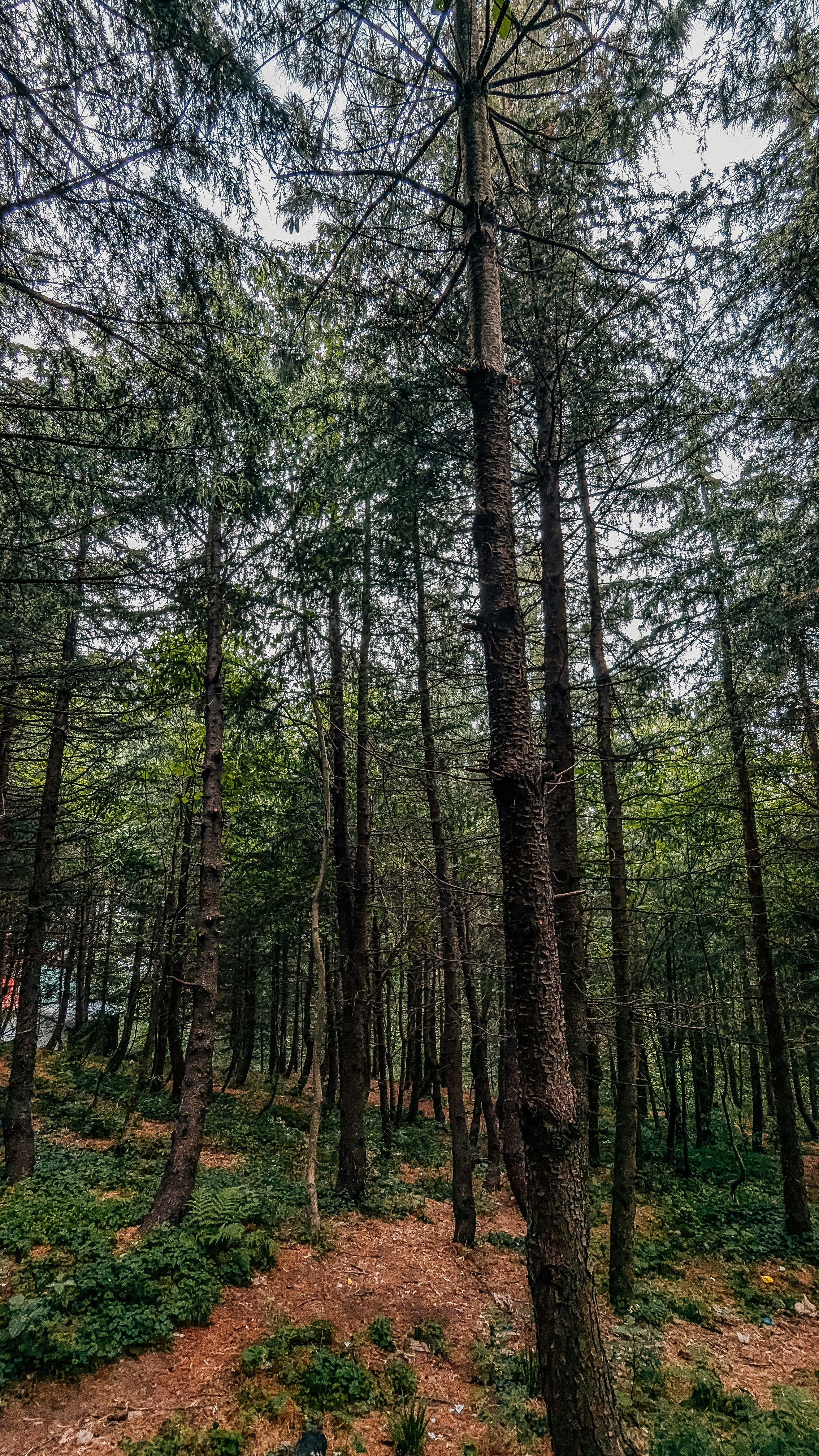 Photo by drphotographer152