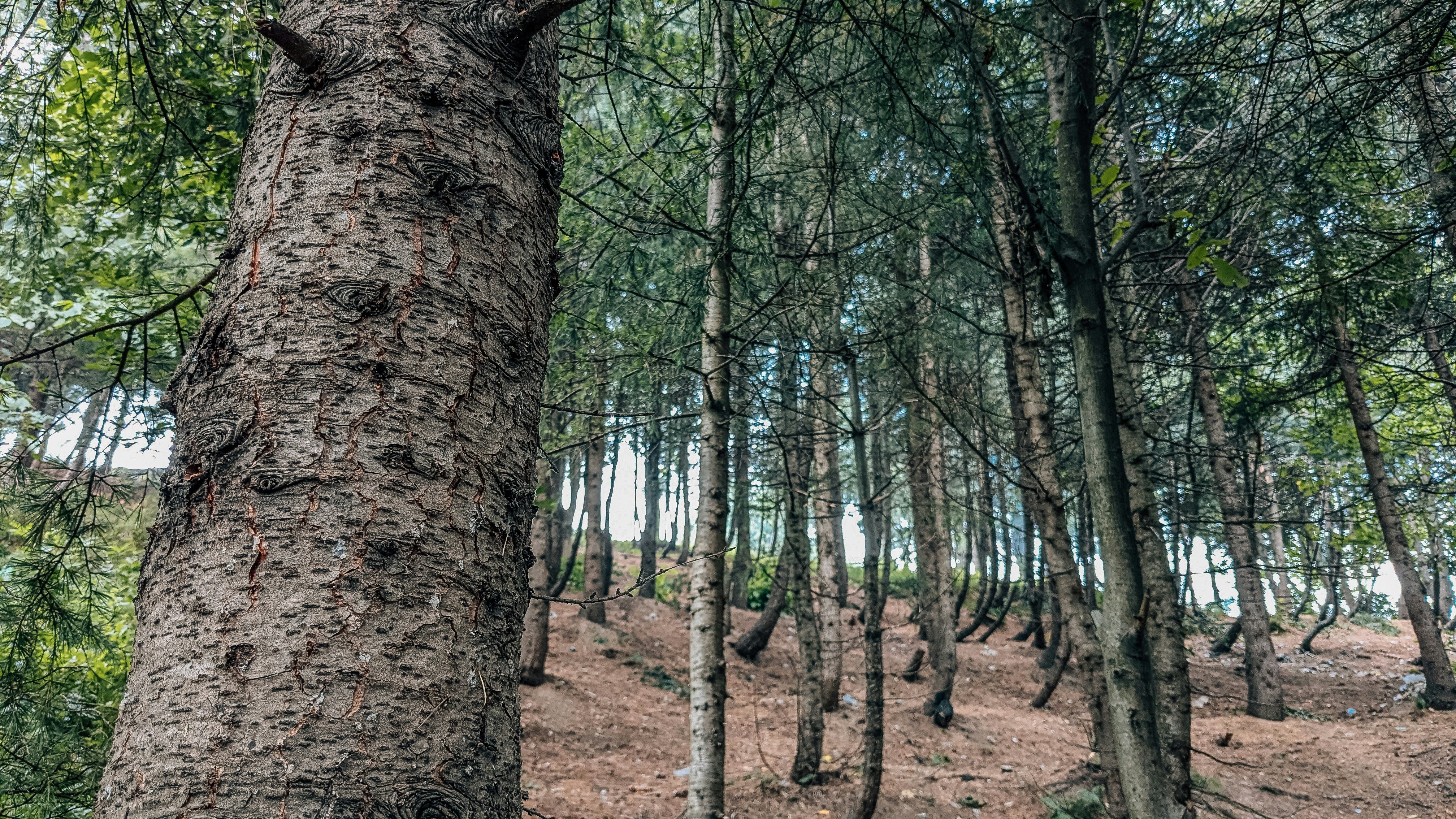 Photo by drphotographer152