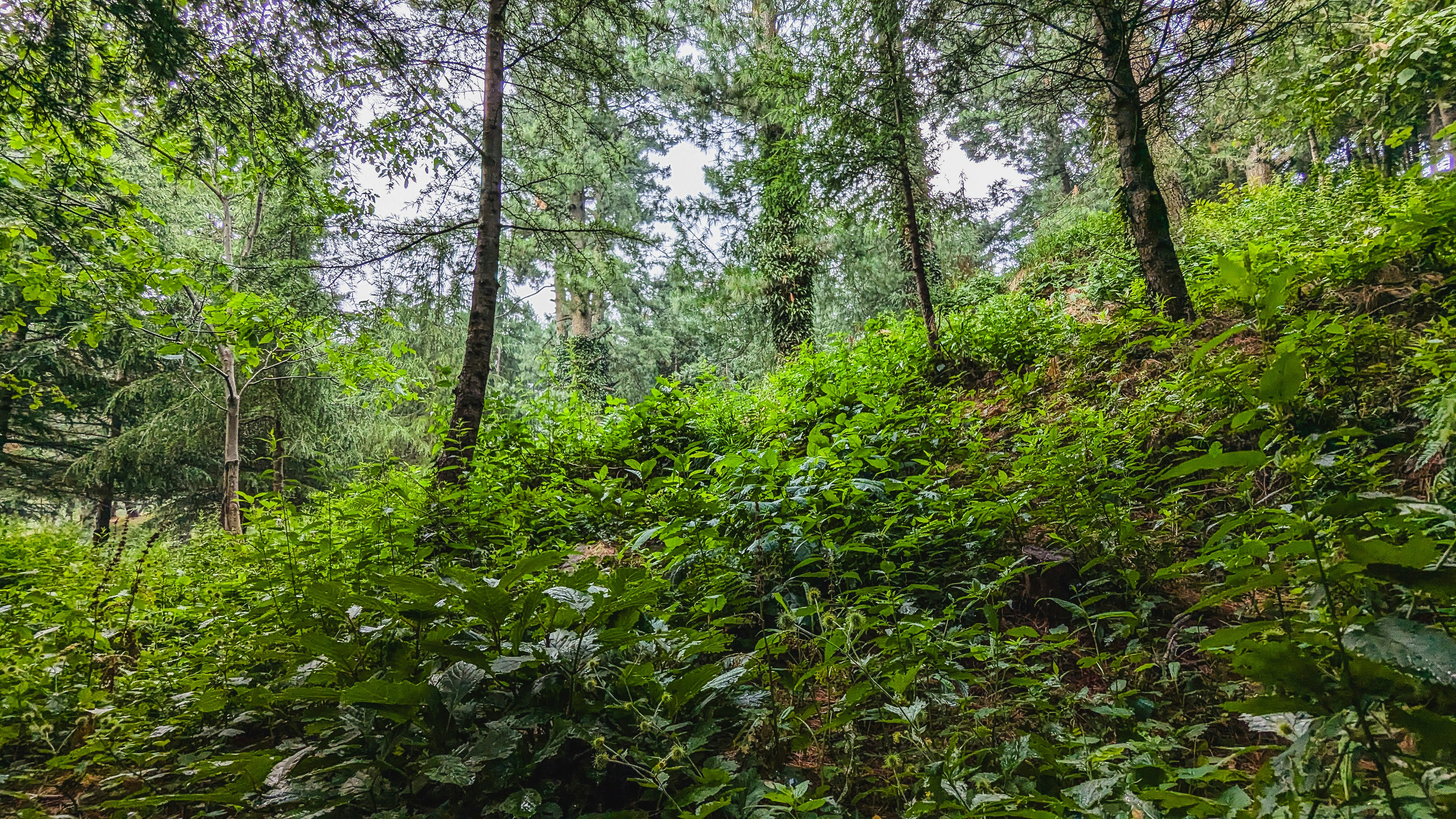 Photo by drphotographer152