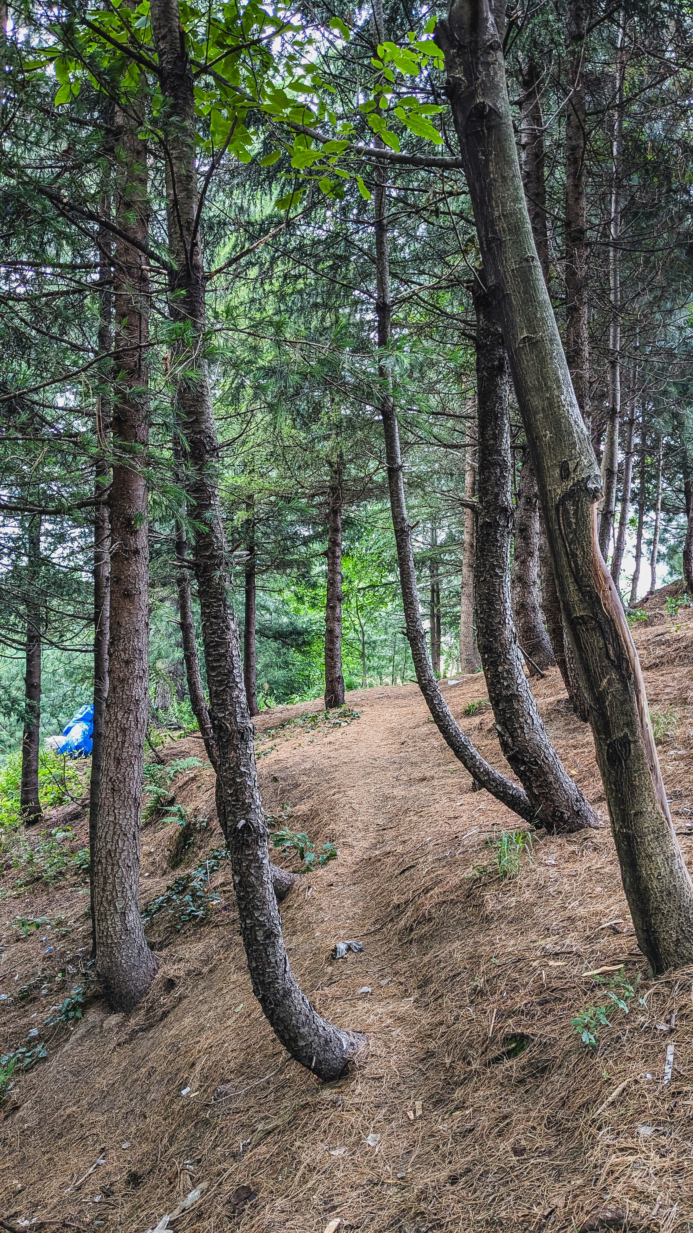 Photo by drphotographer152