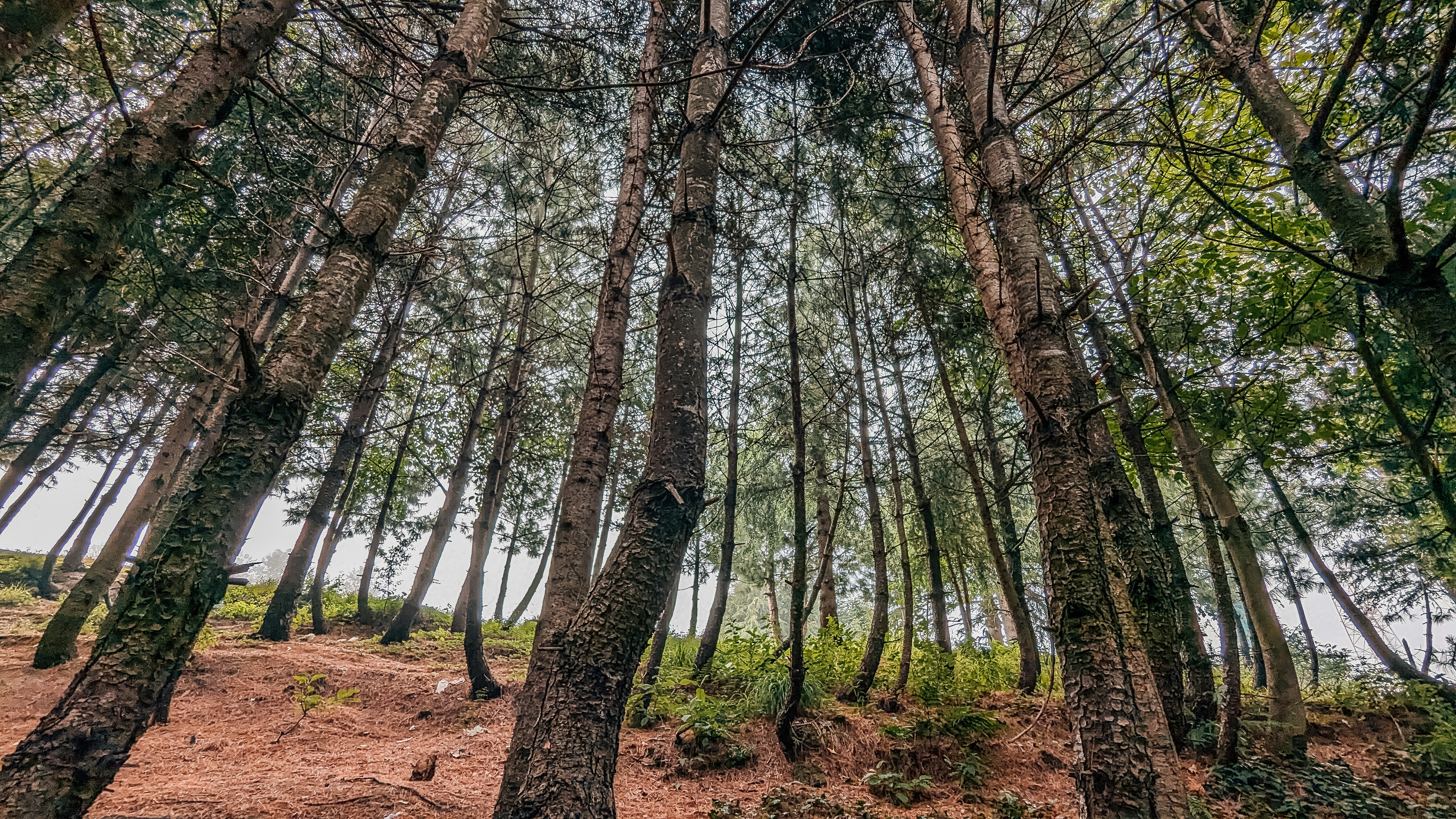 Photo by drphotographer152